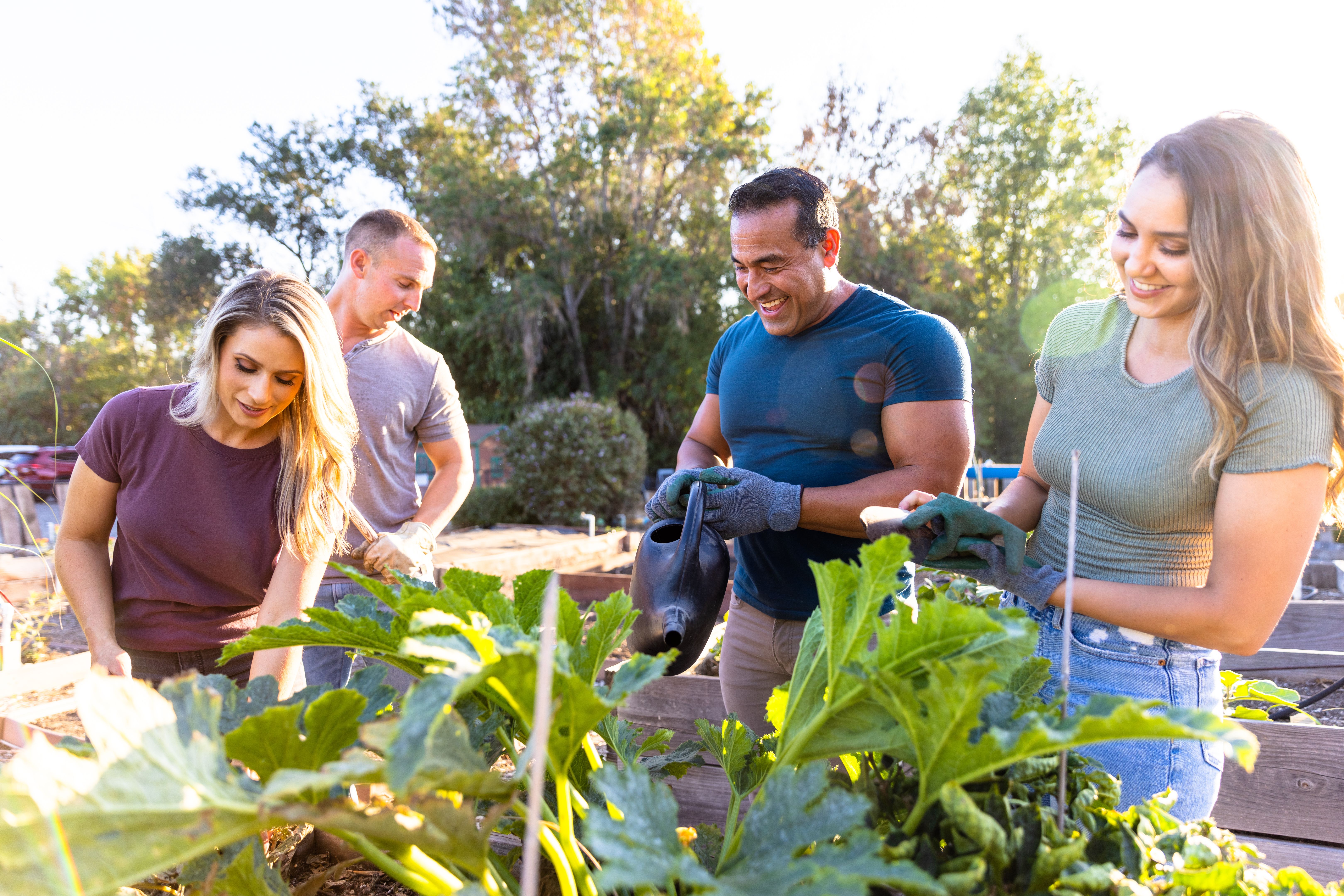 community volunteers gardening
