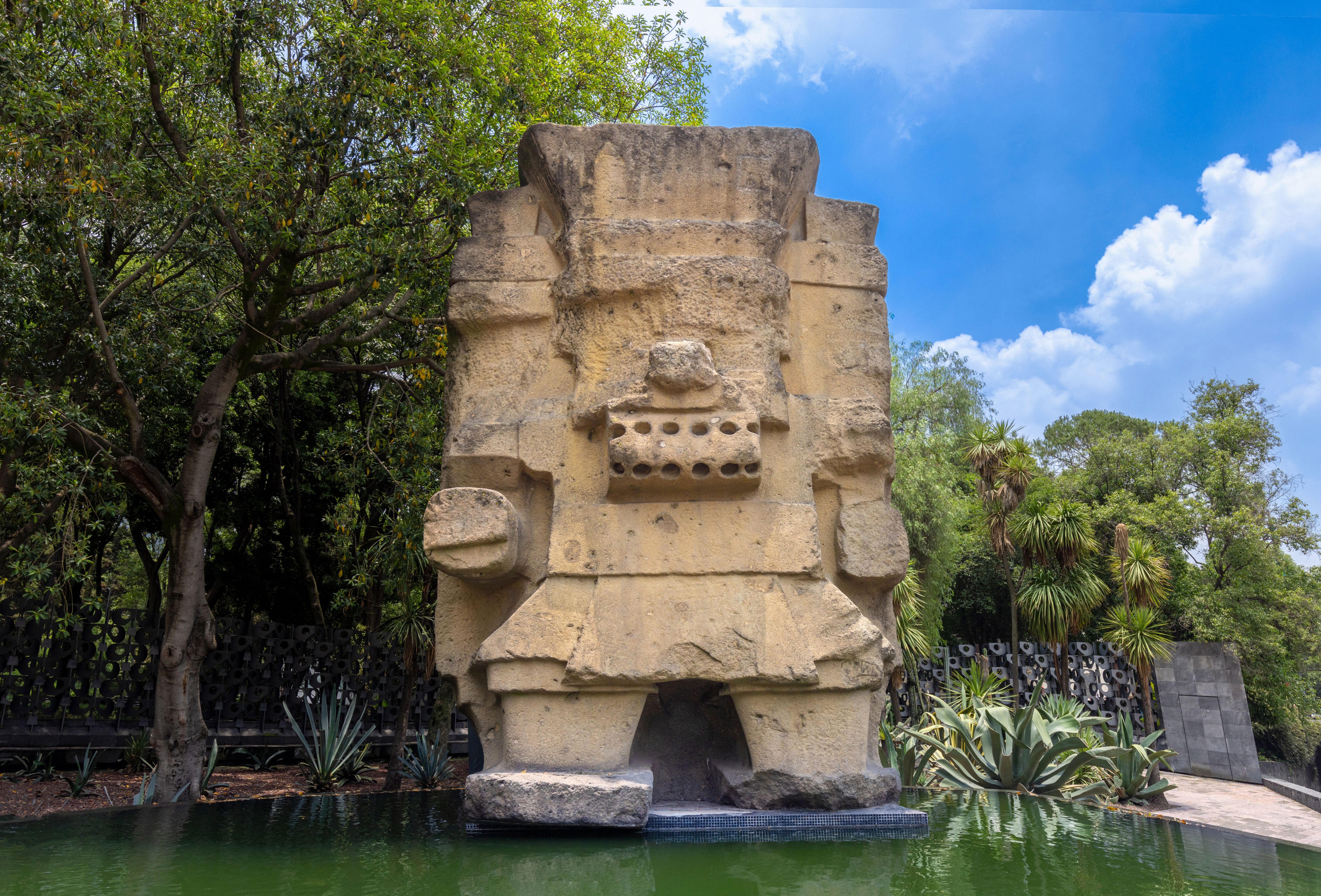 anthropology museum