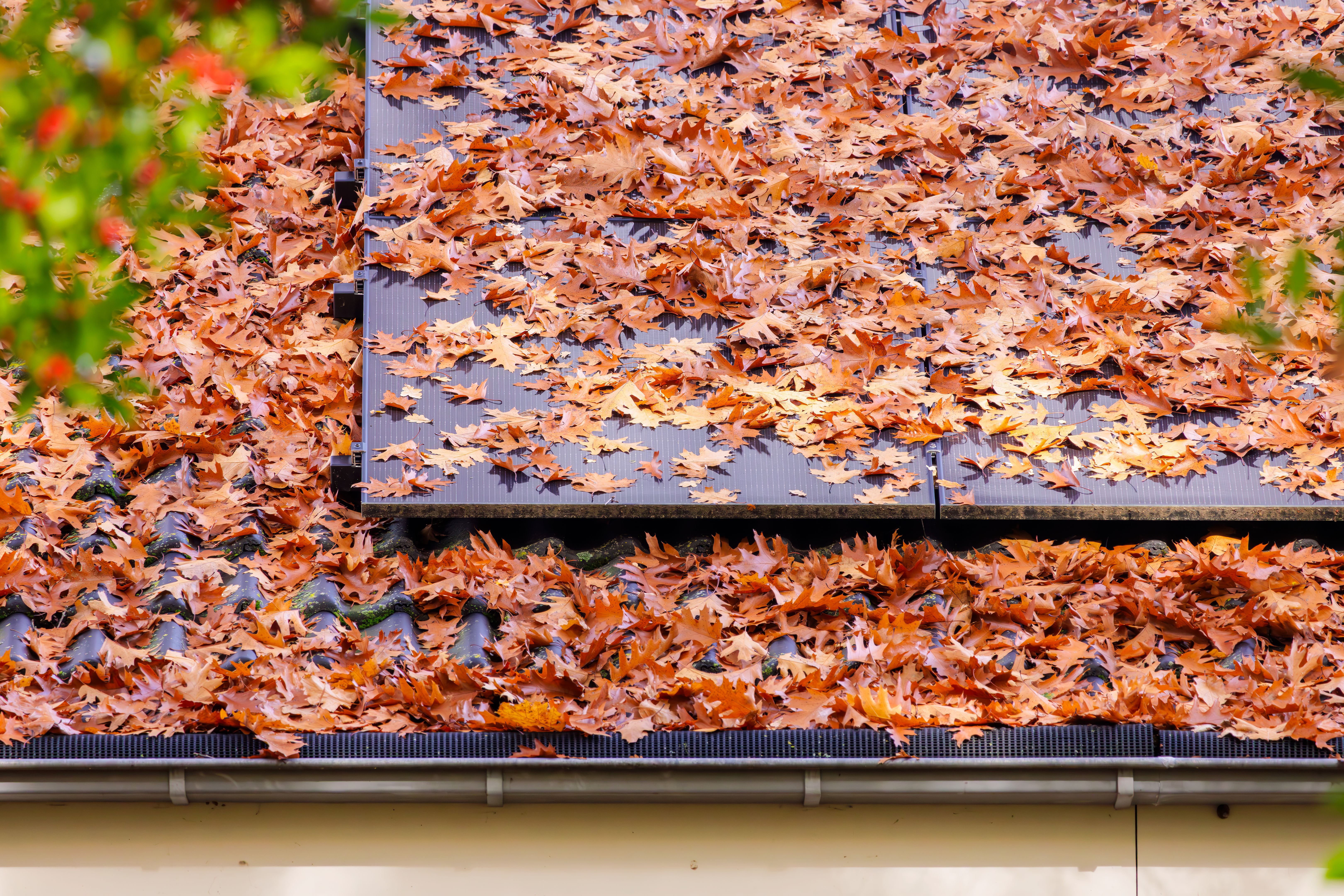 autumn roof maintenance