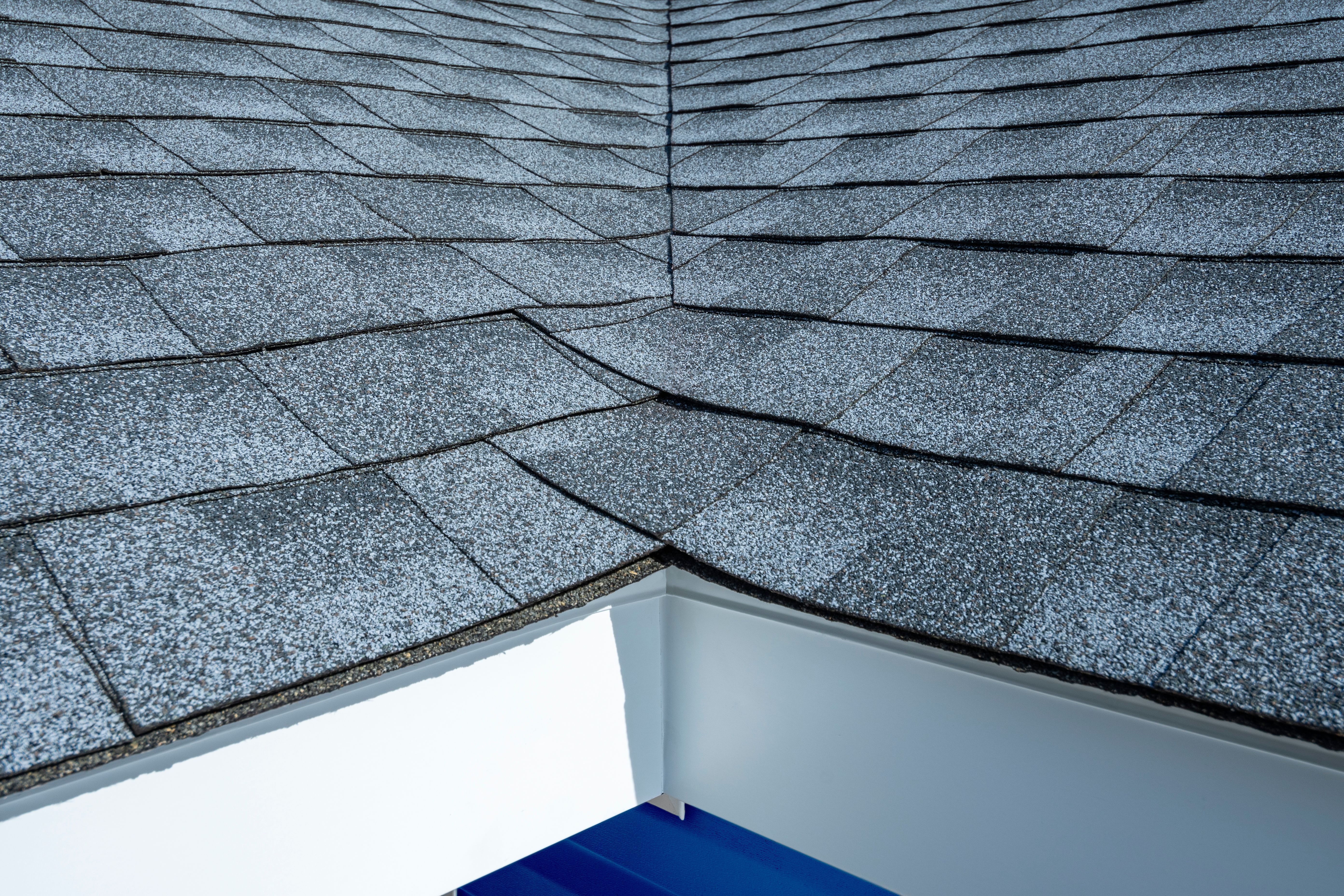 asphalt shingles roof