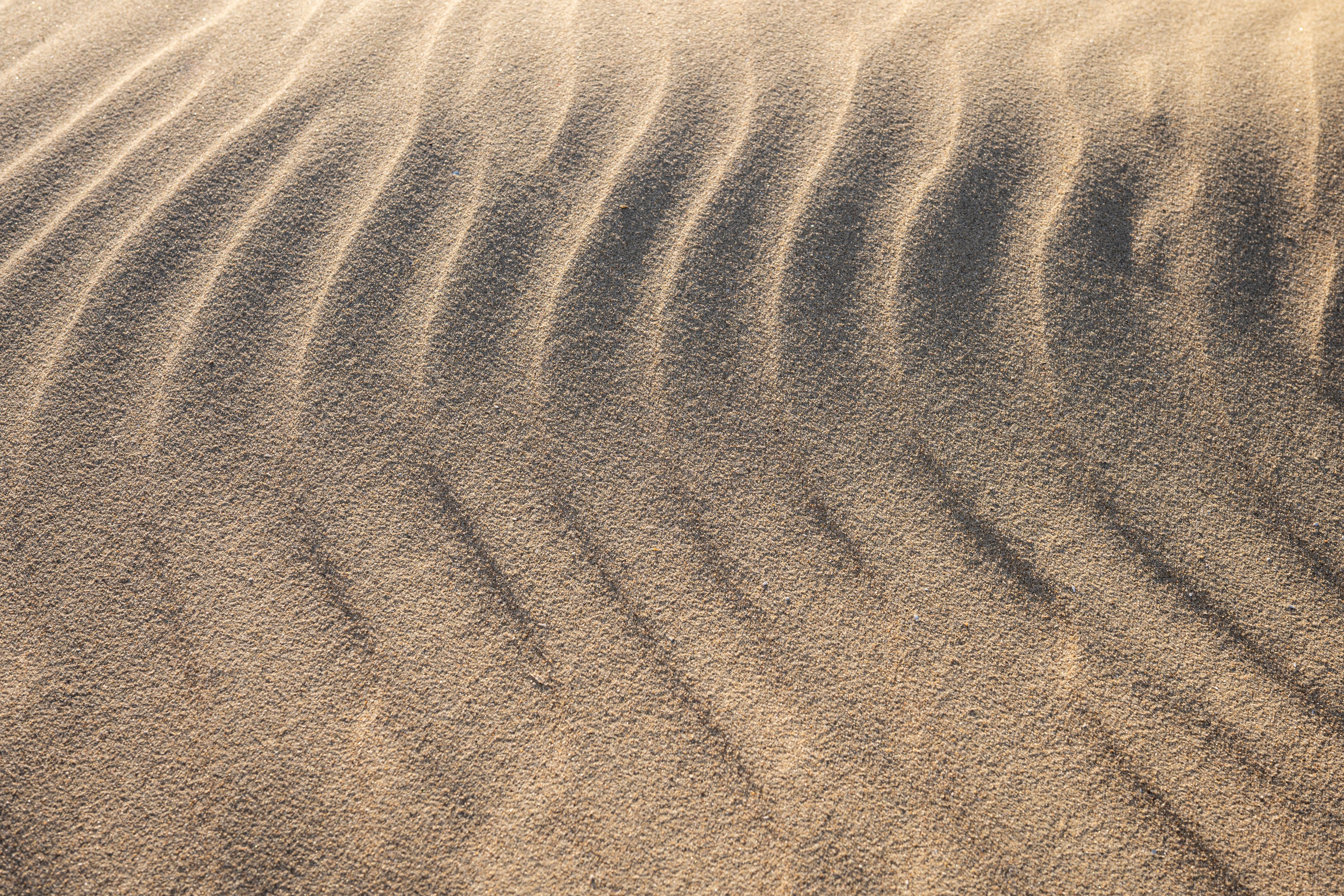 sand landscape