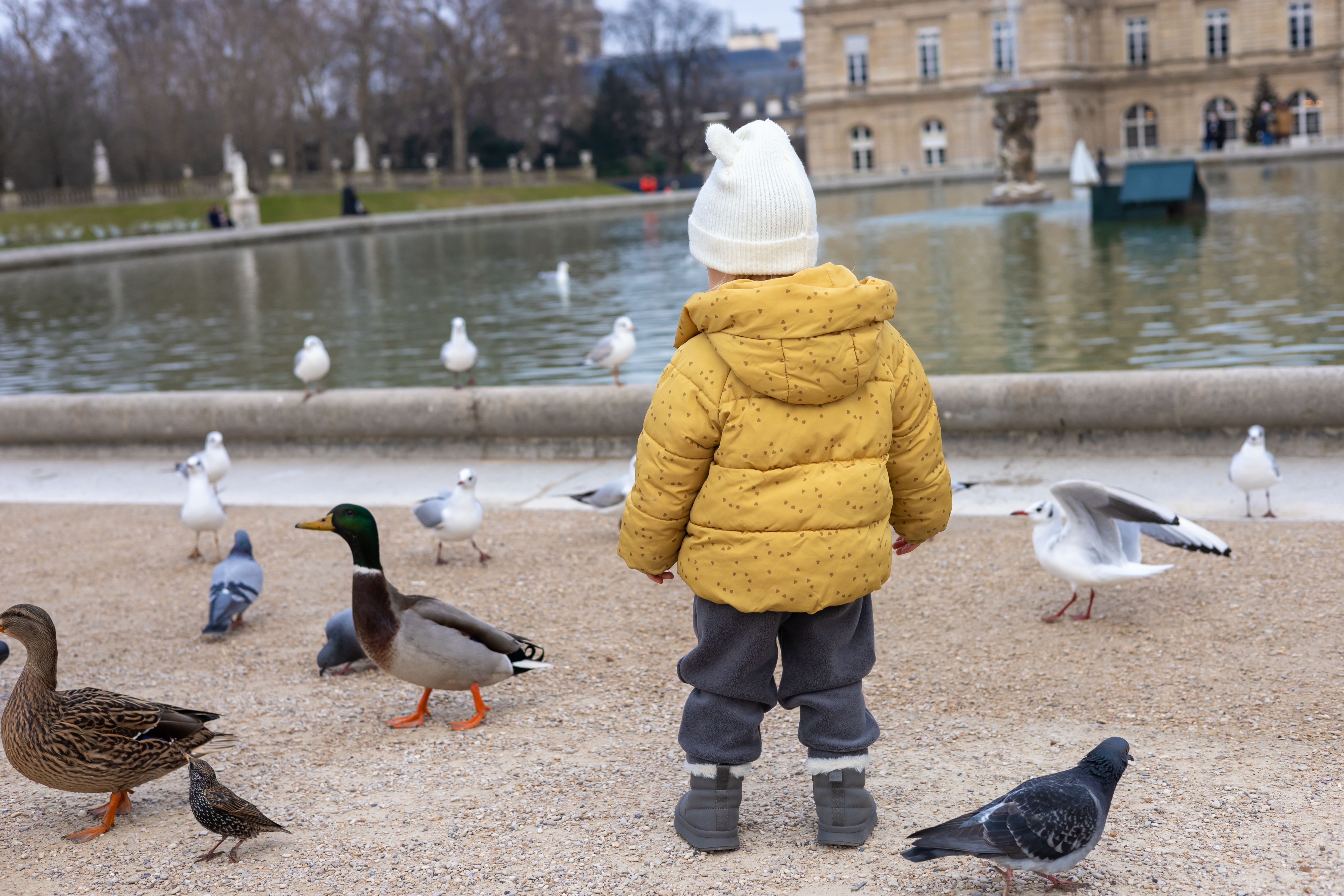 child development Paris