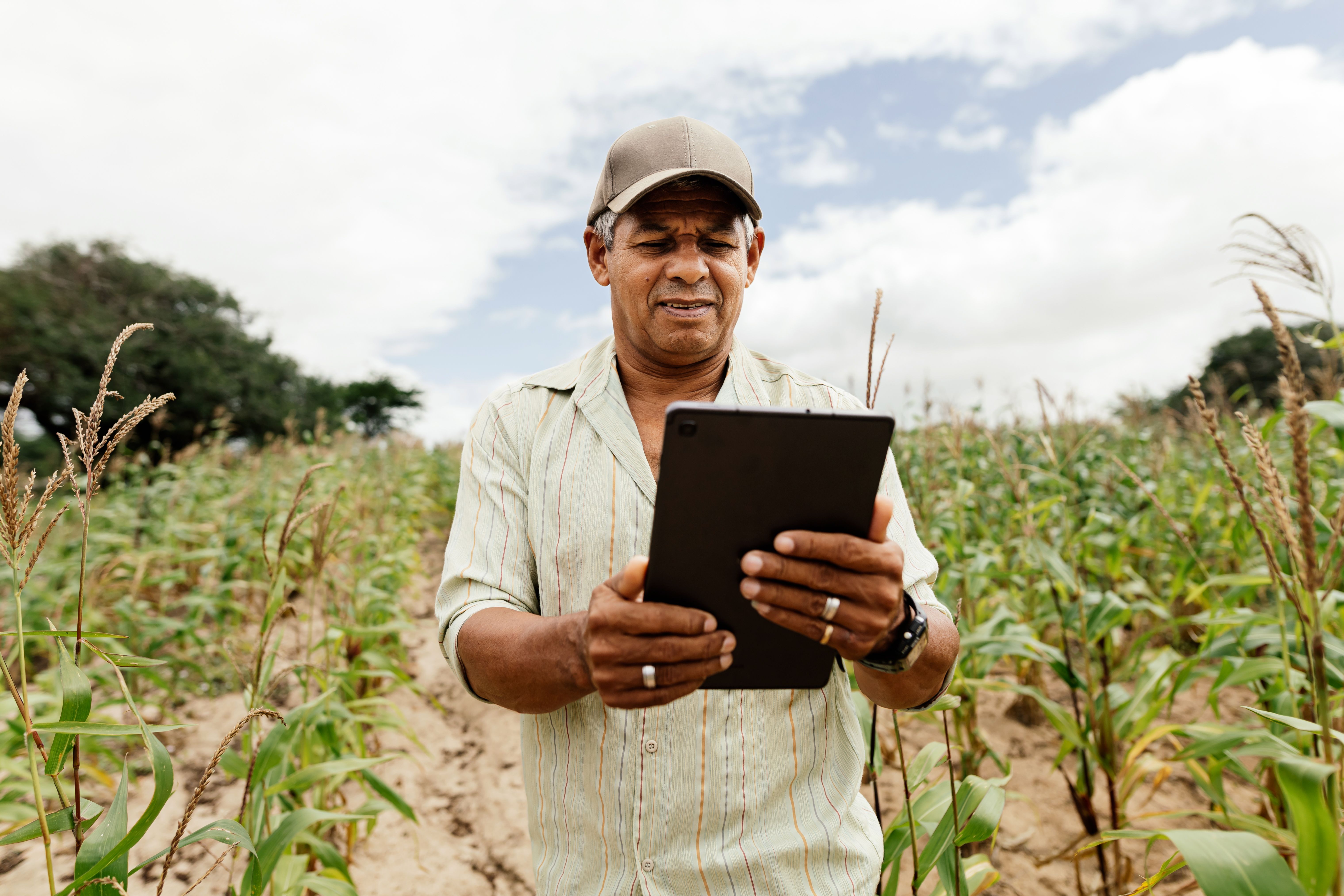 technology agriculture brazil