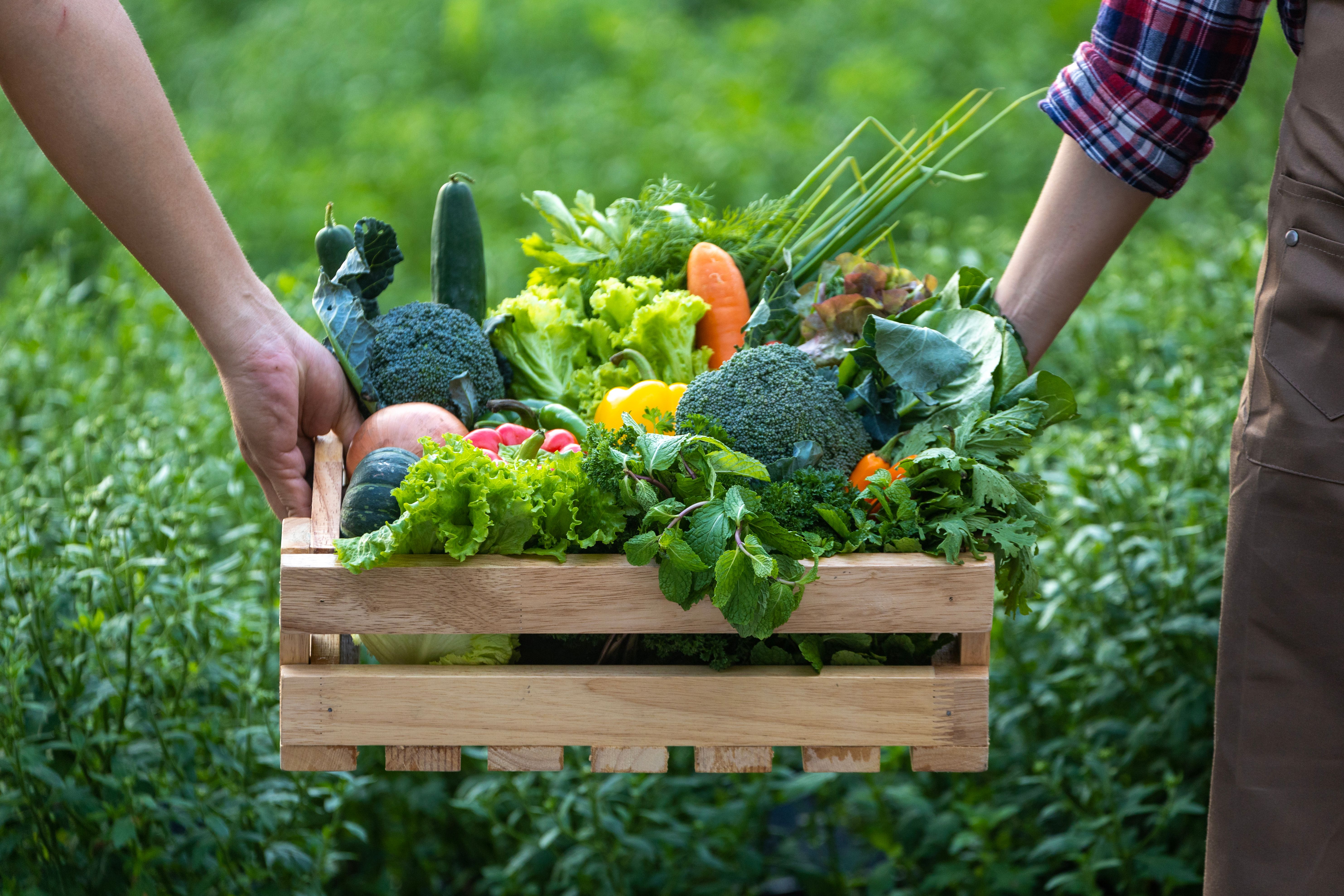 local produce