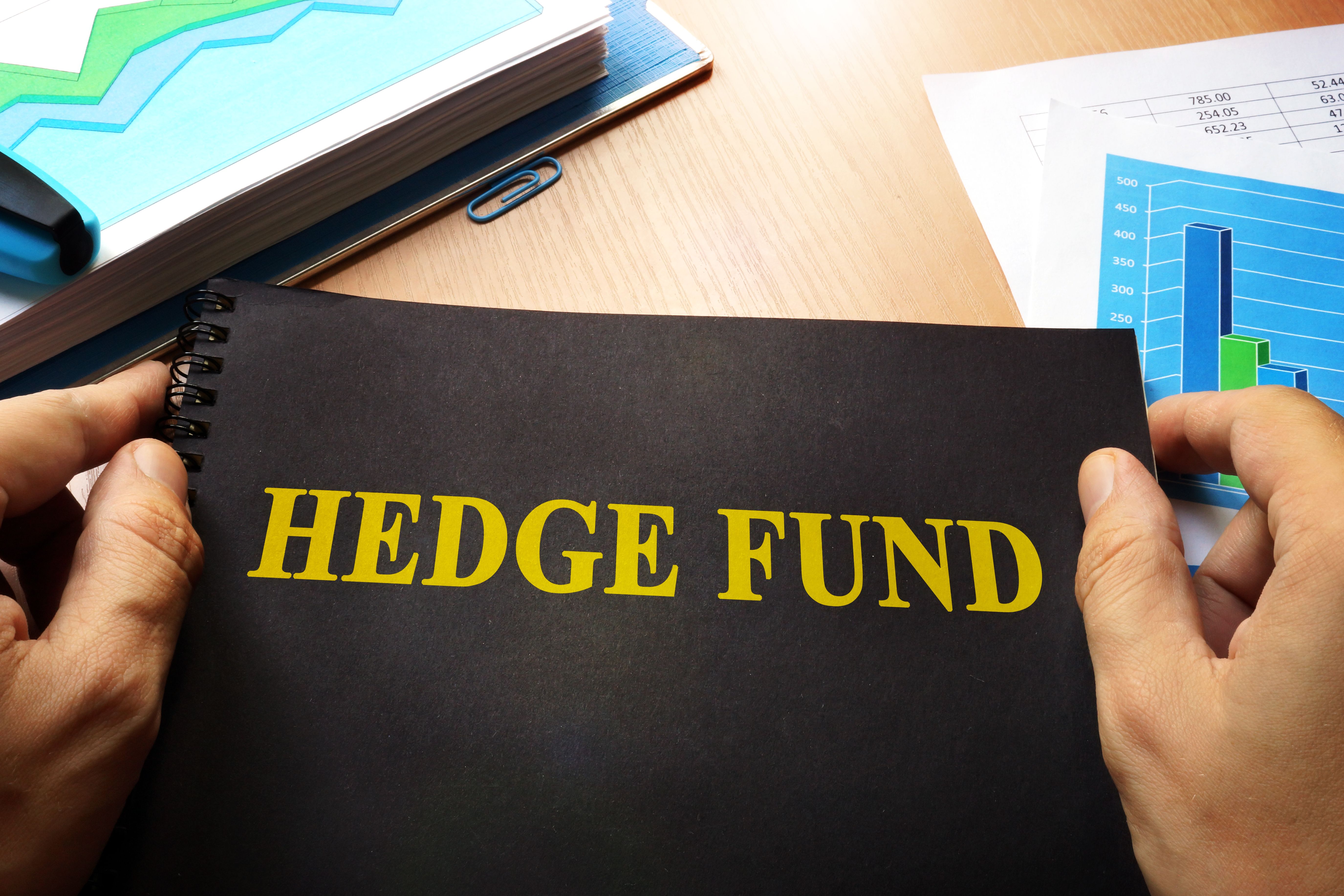 hedge fund