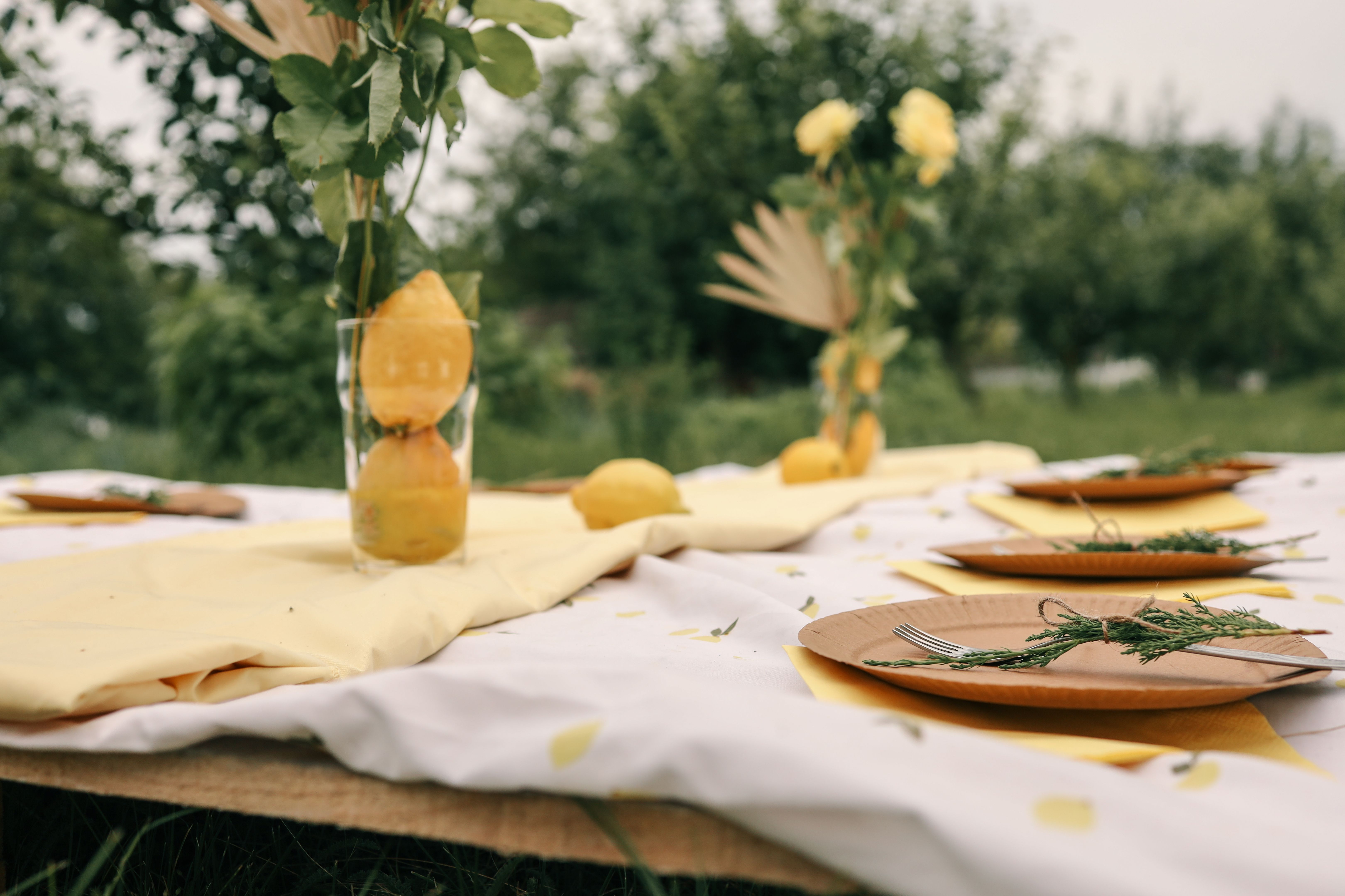 picnic setup