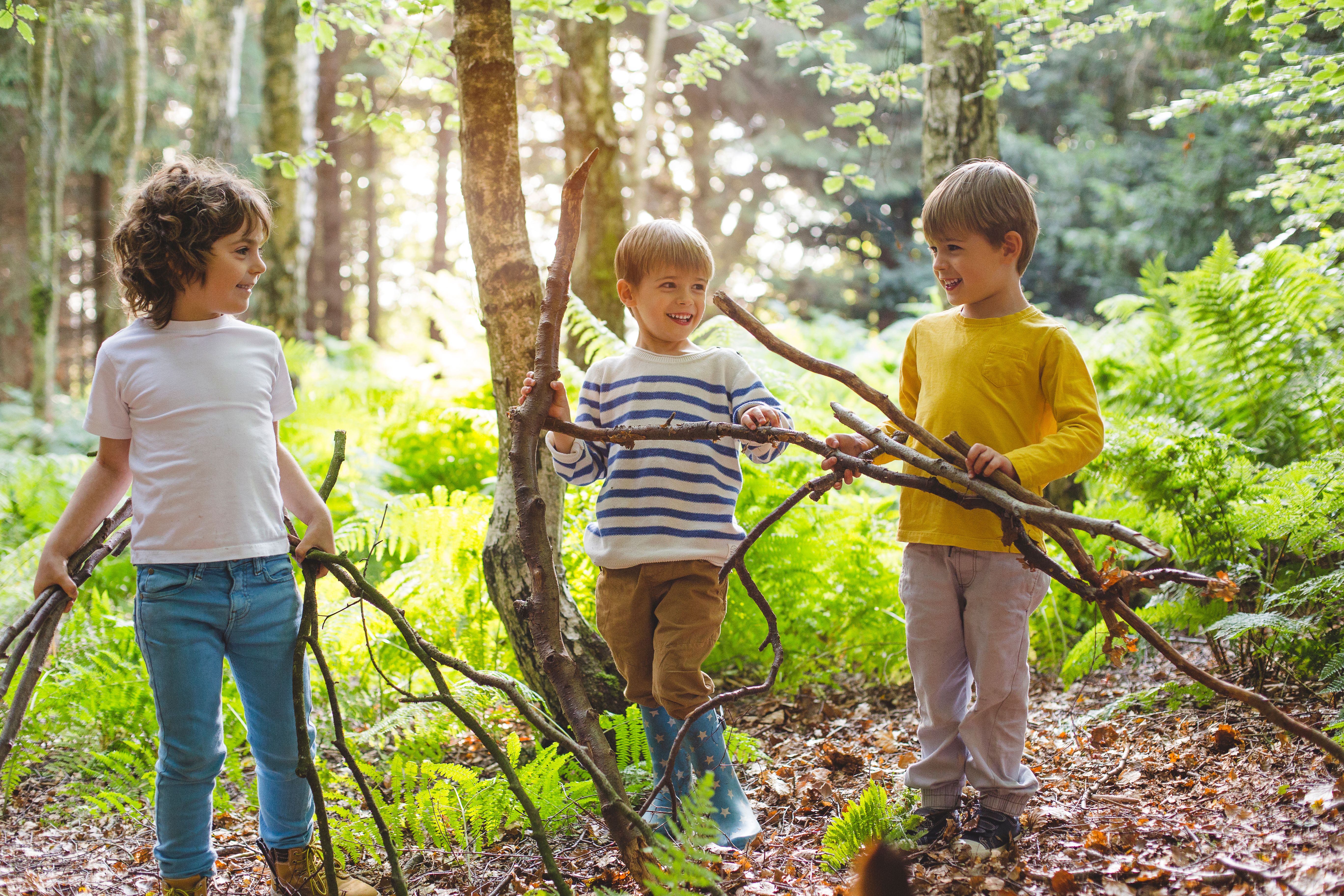 children playing forest
