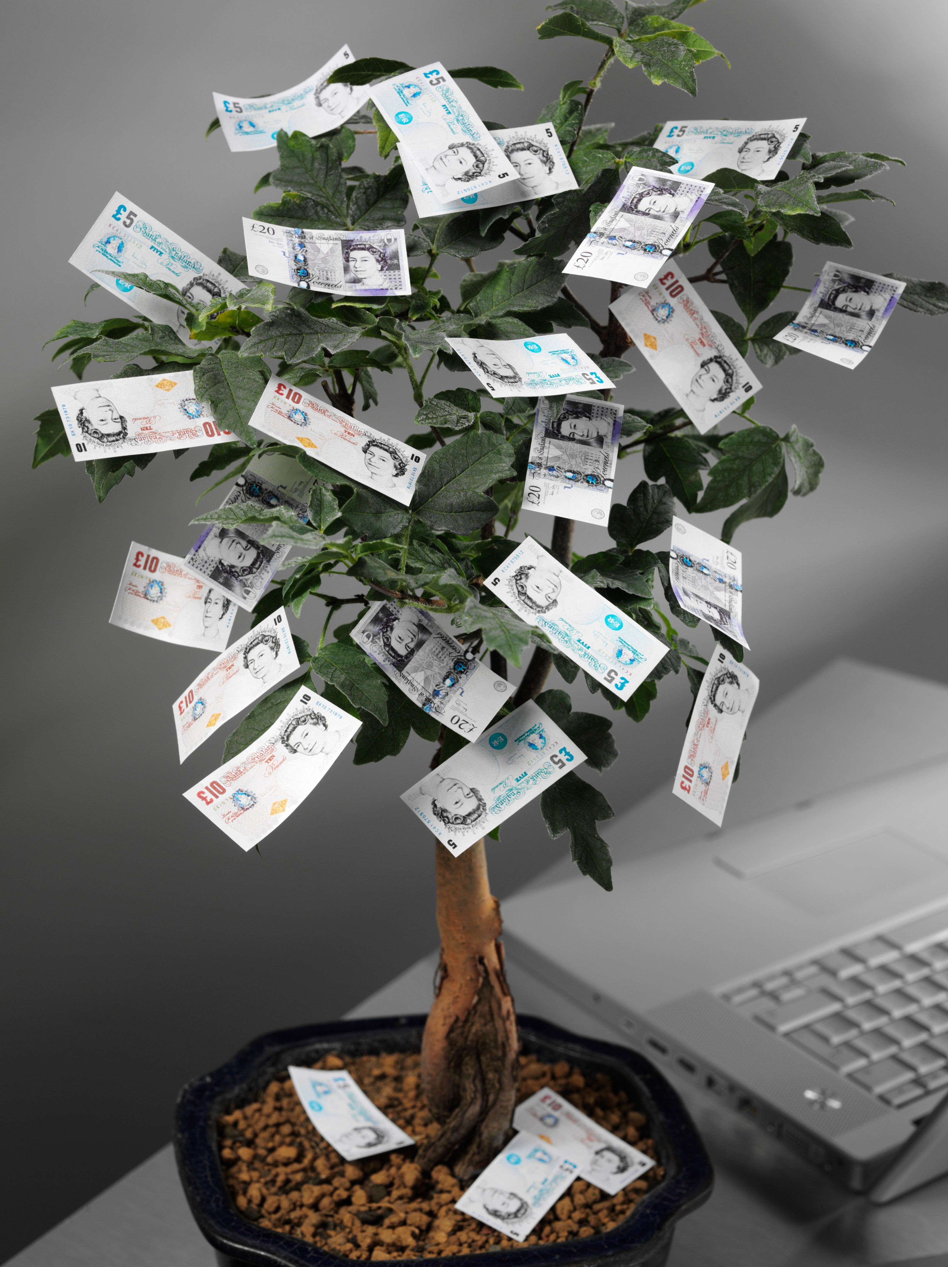 getting started workbook