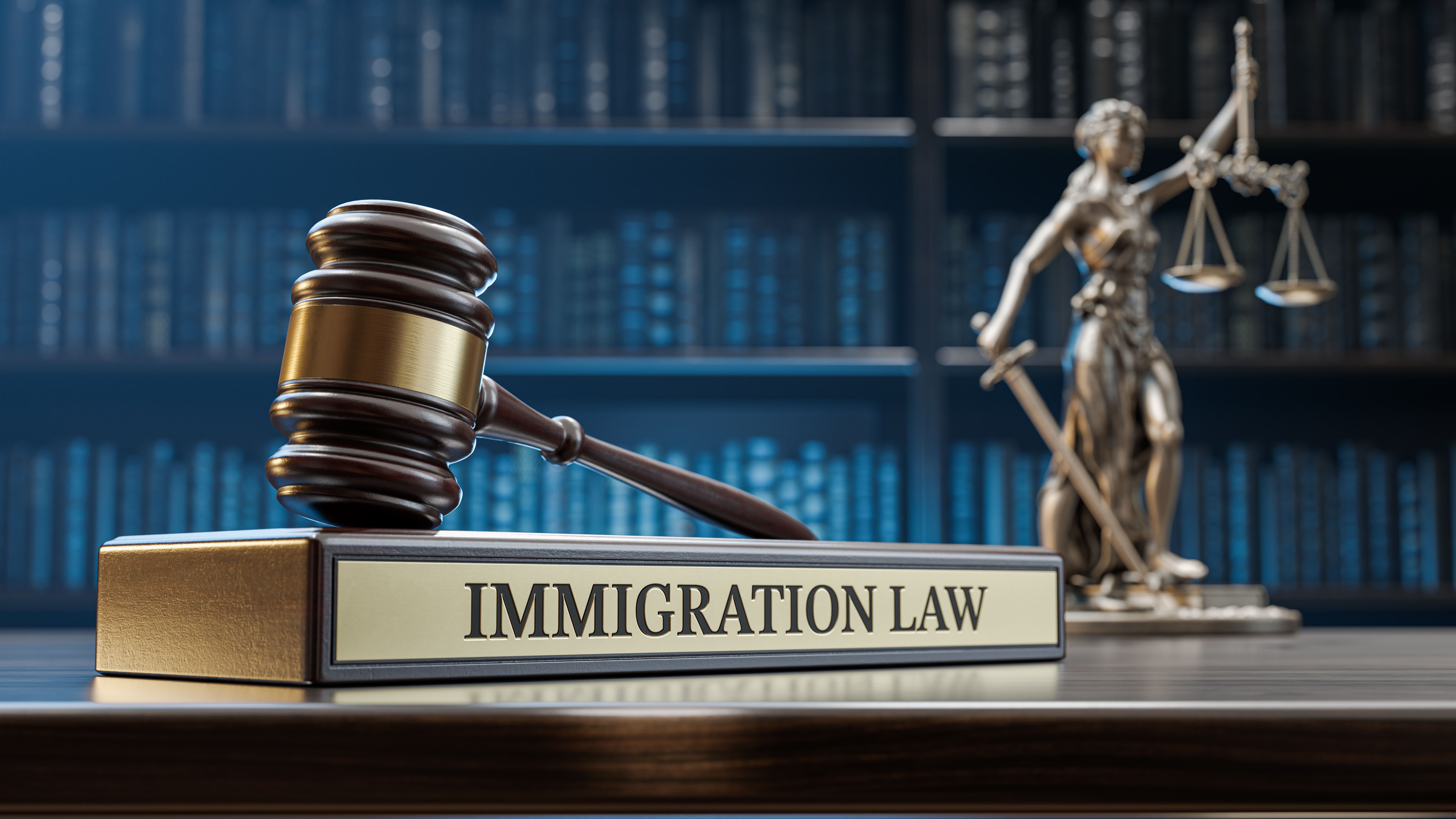 migration law