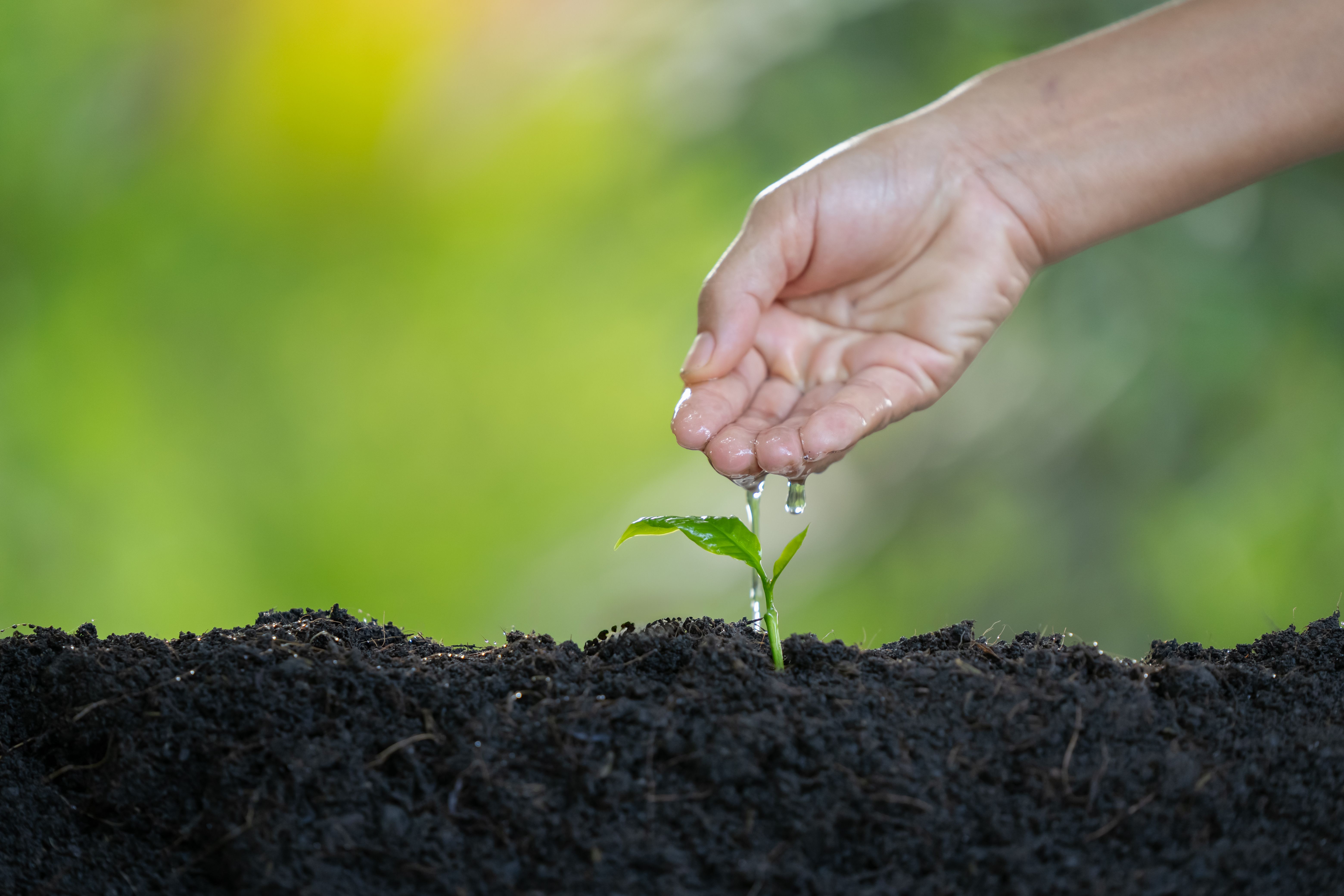 sostenibilità porfido