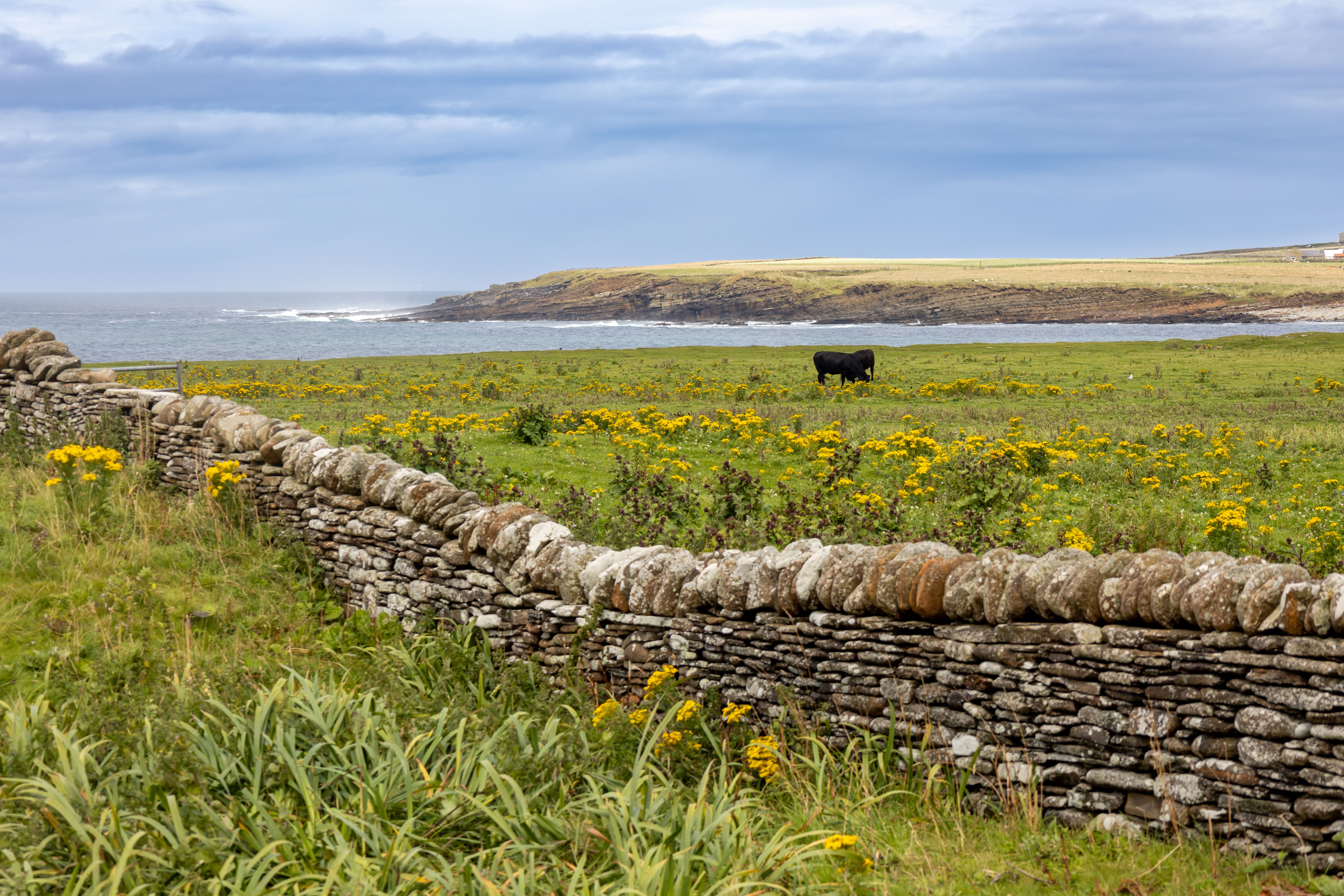autumn landscape orkney