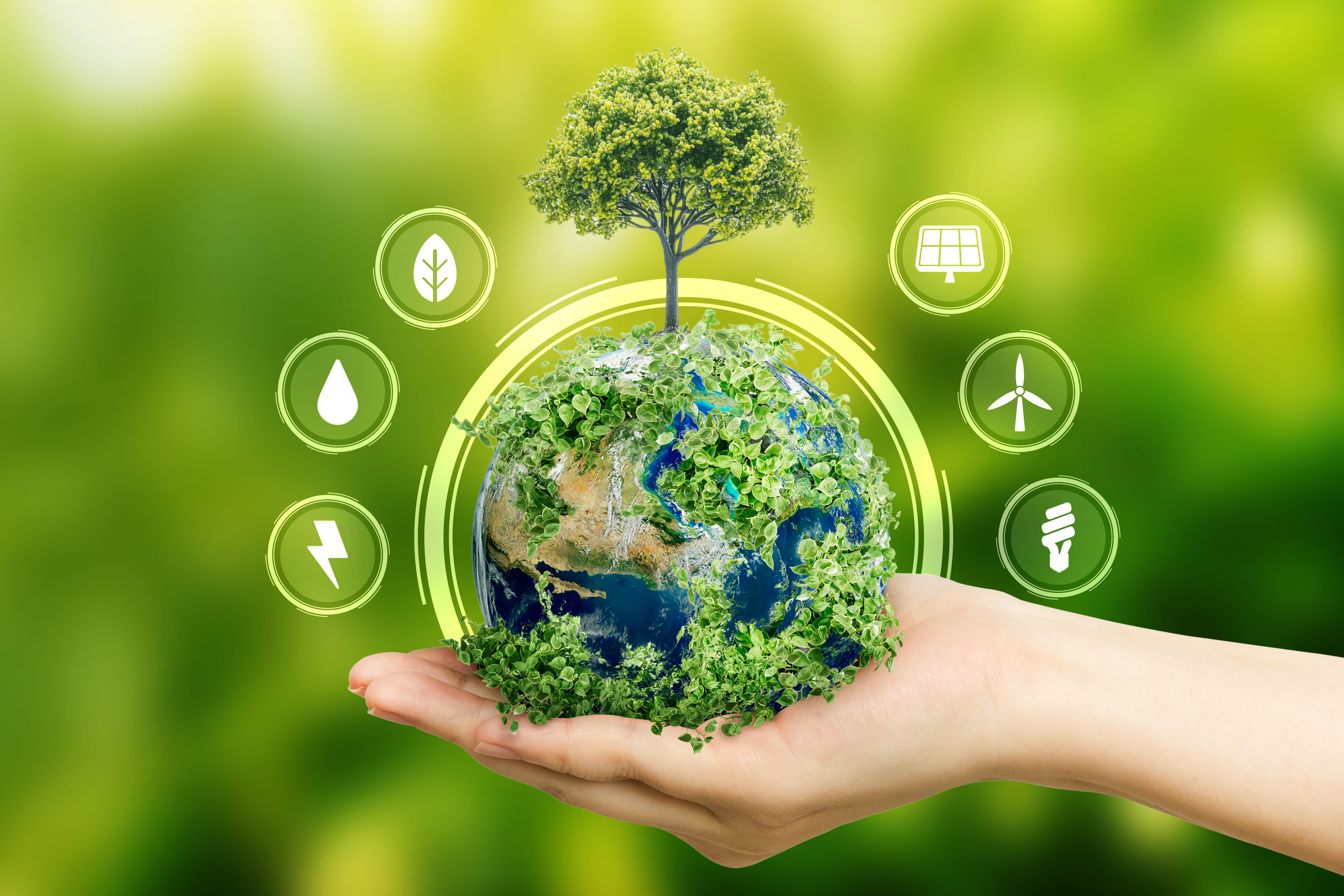 local eco friendly brands