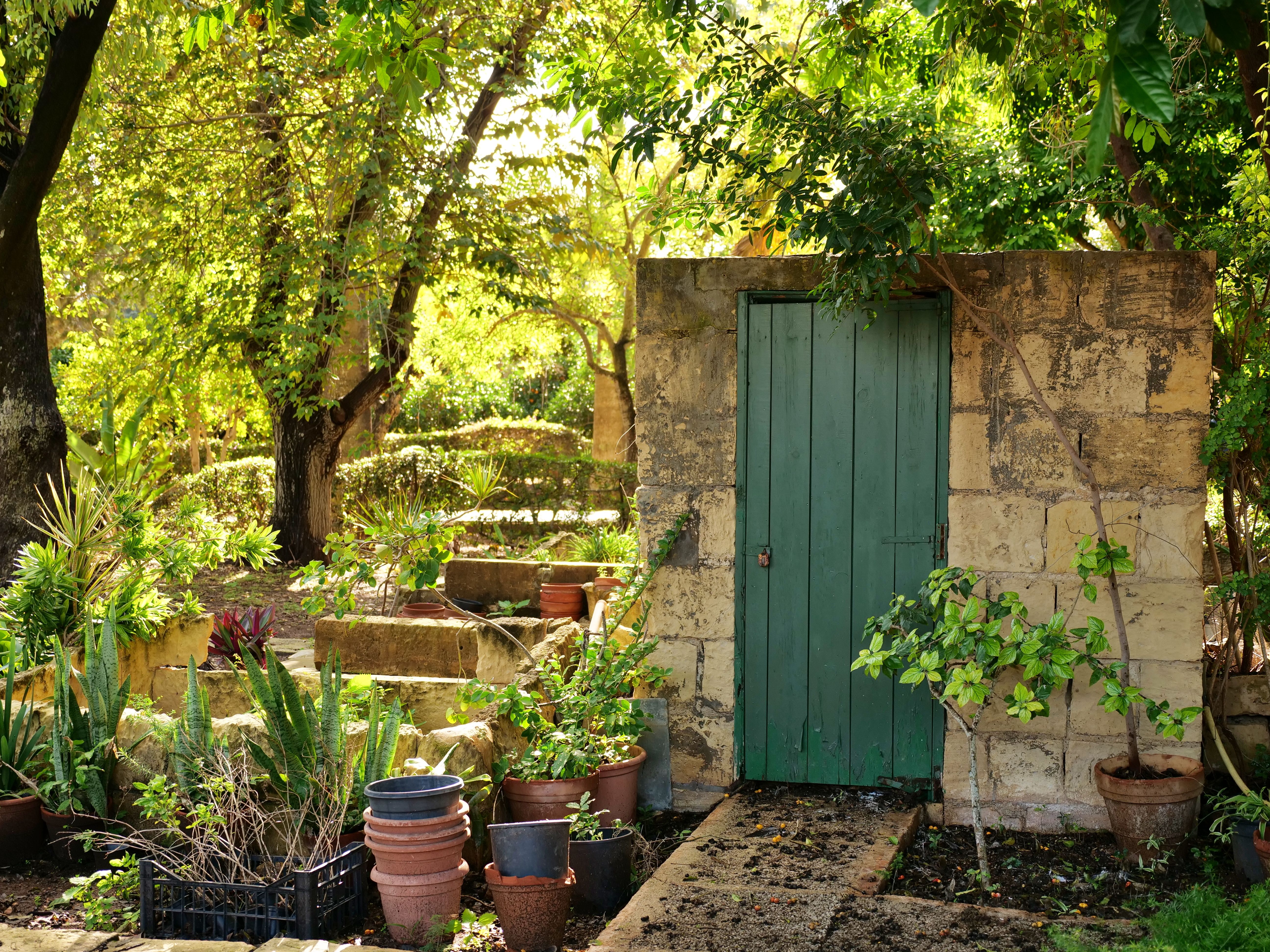 seasonal garden cellar