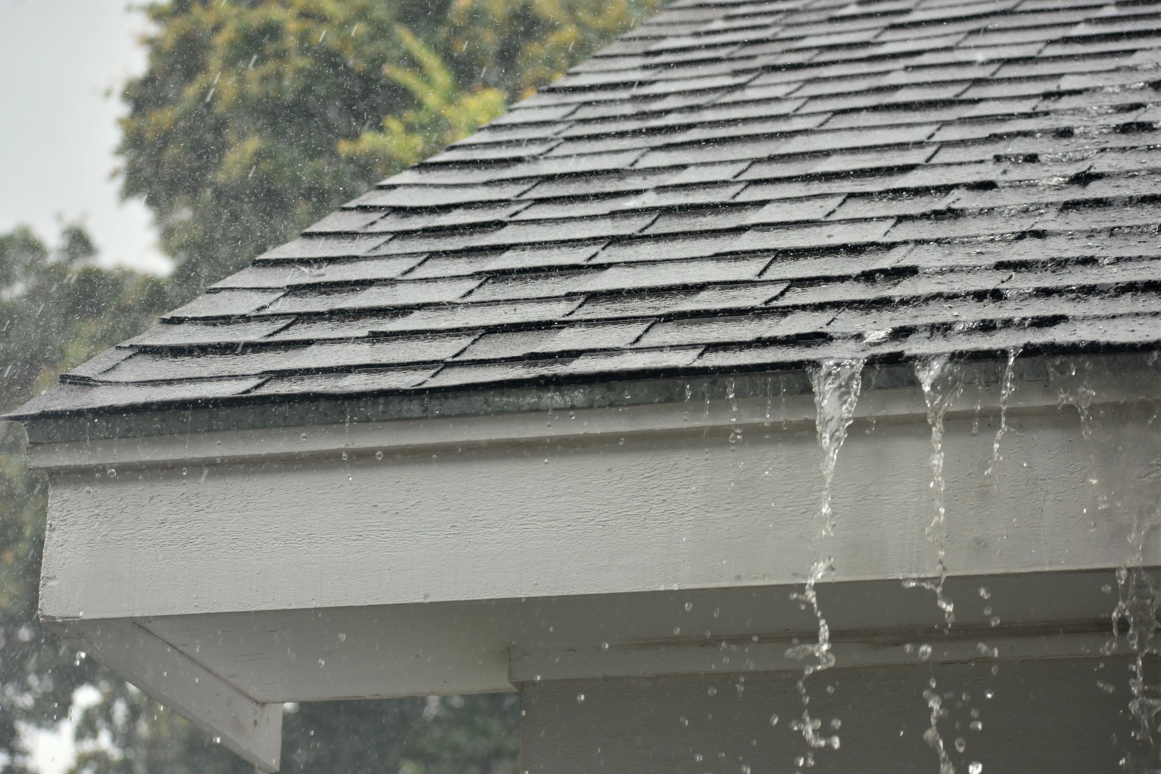 rainy roof