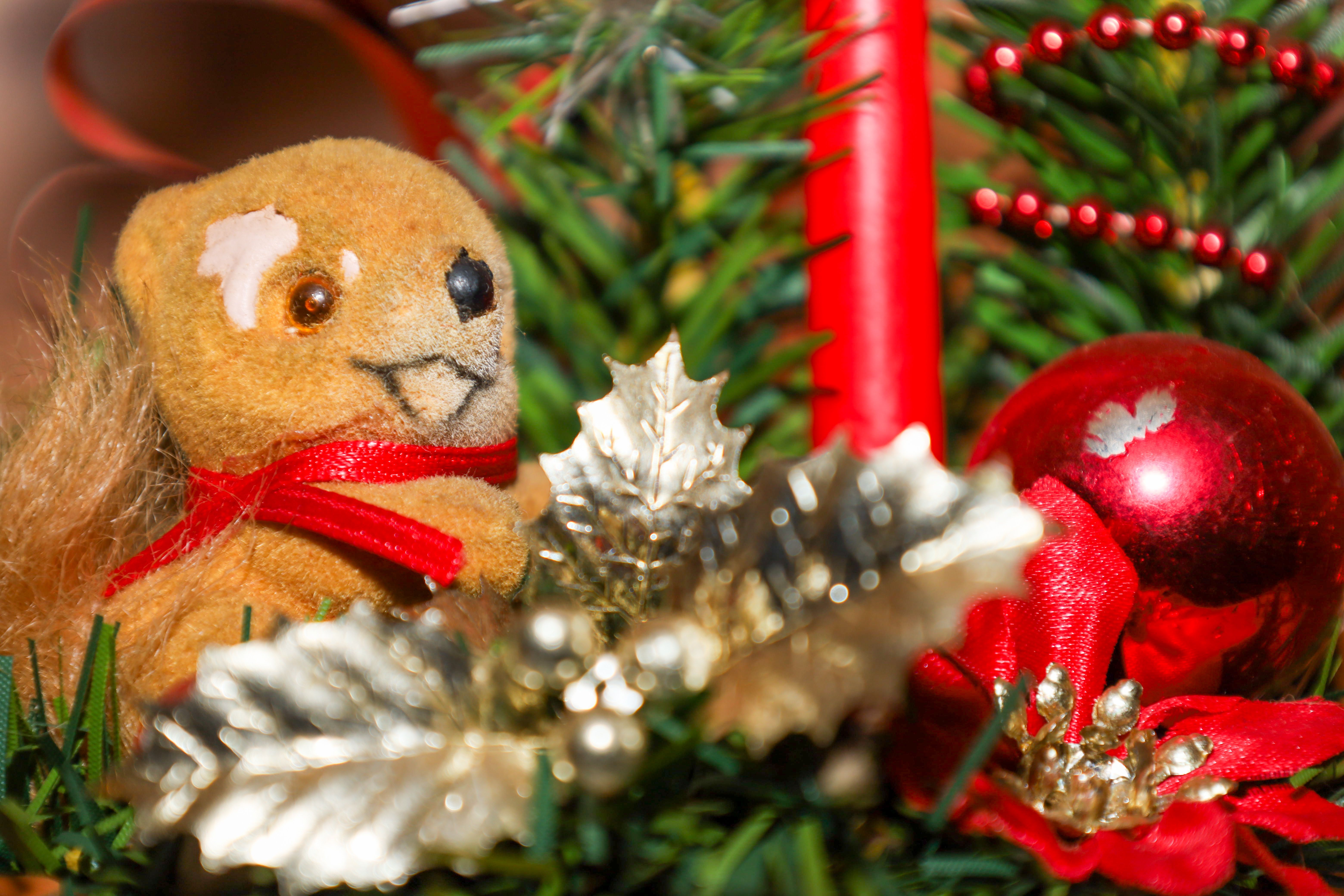 holiday details close-up