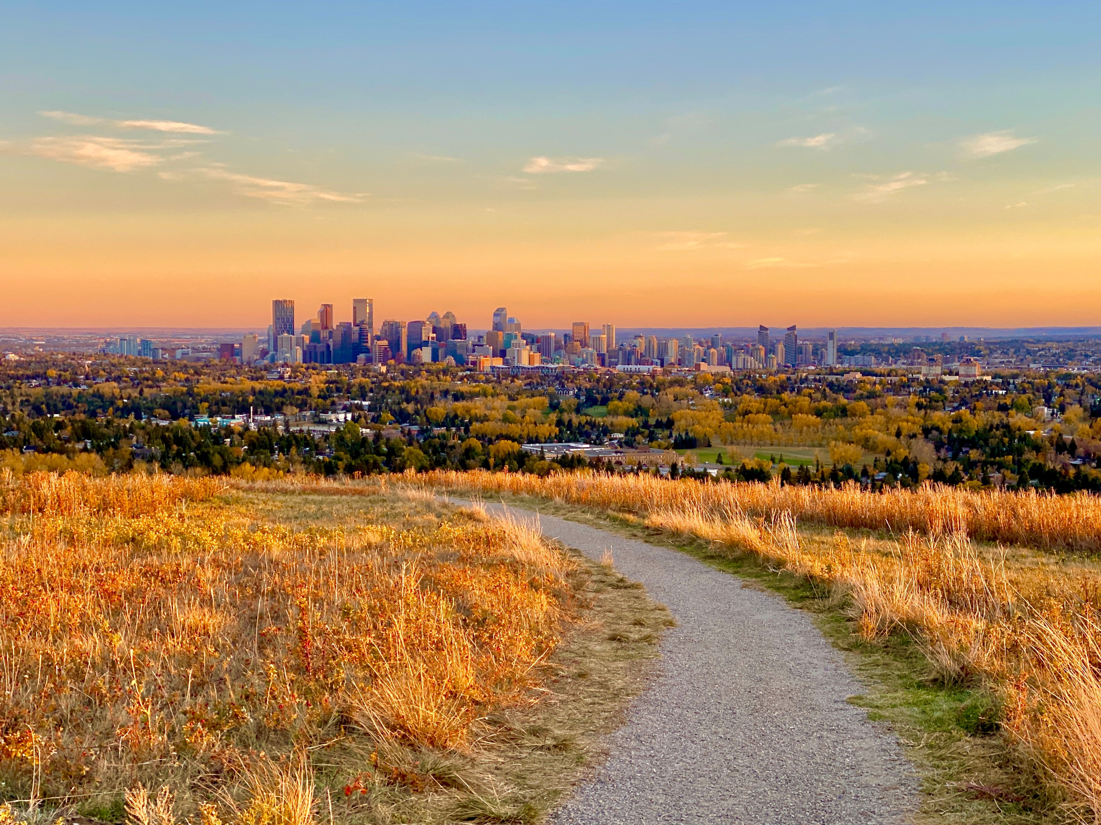 calgary garden design