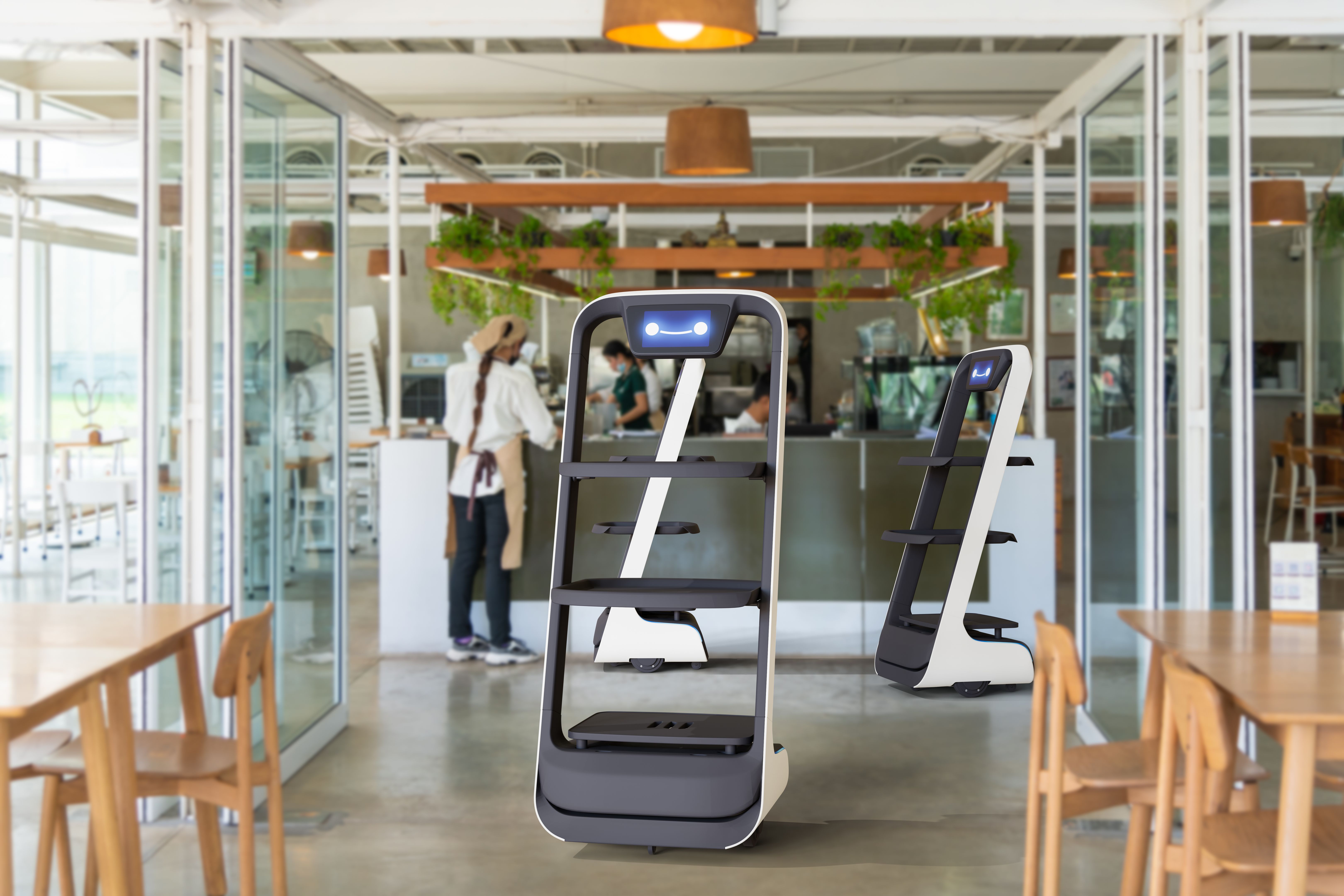 robot service