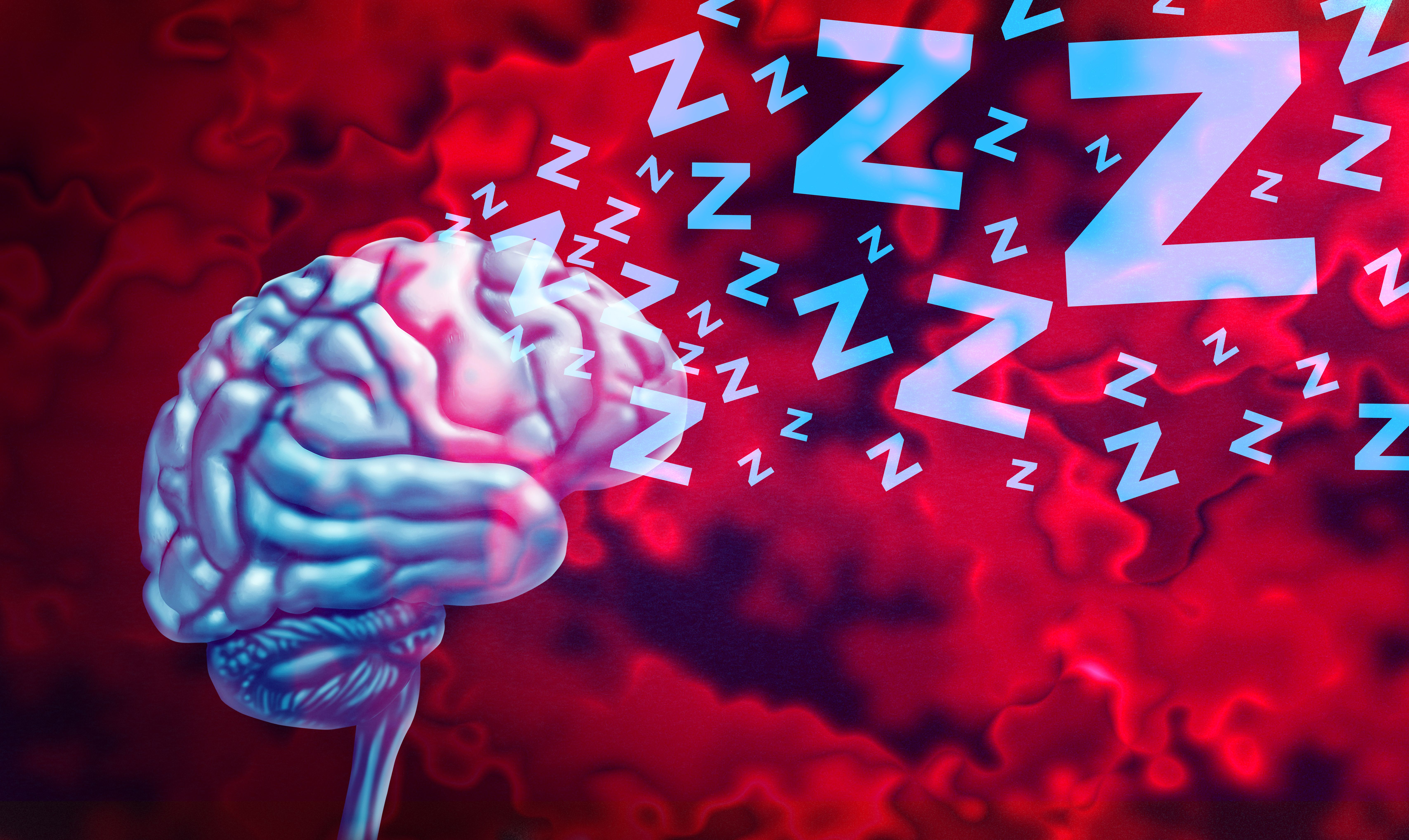 sleep brain