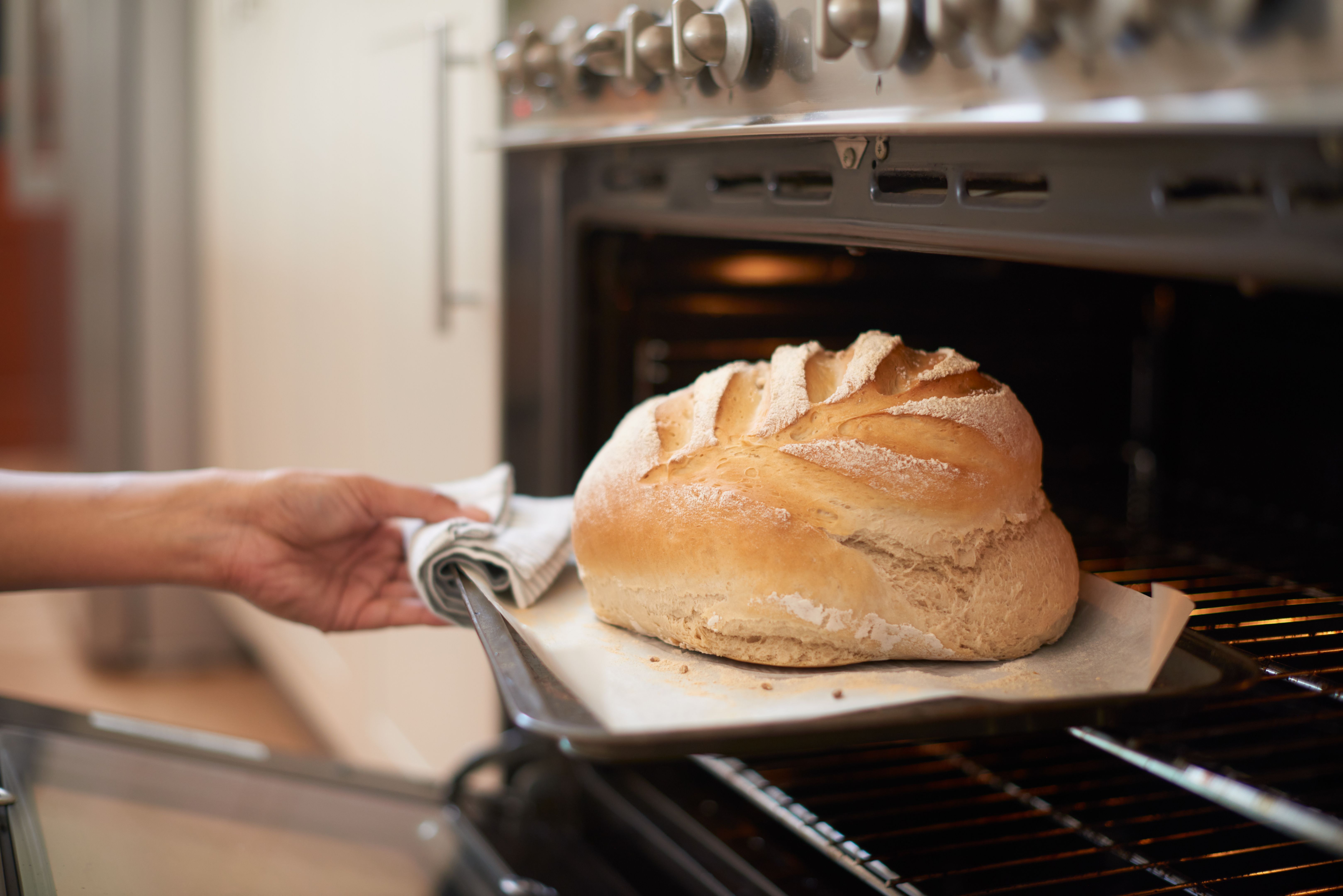 oven cooking