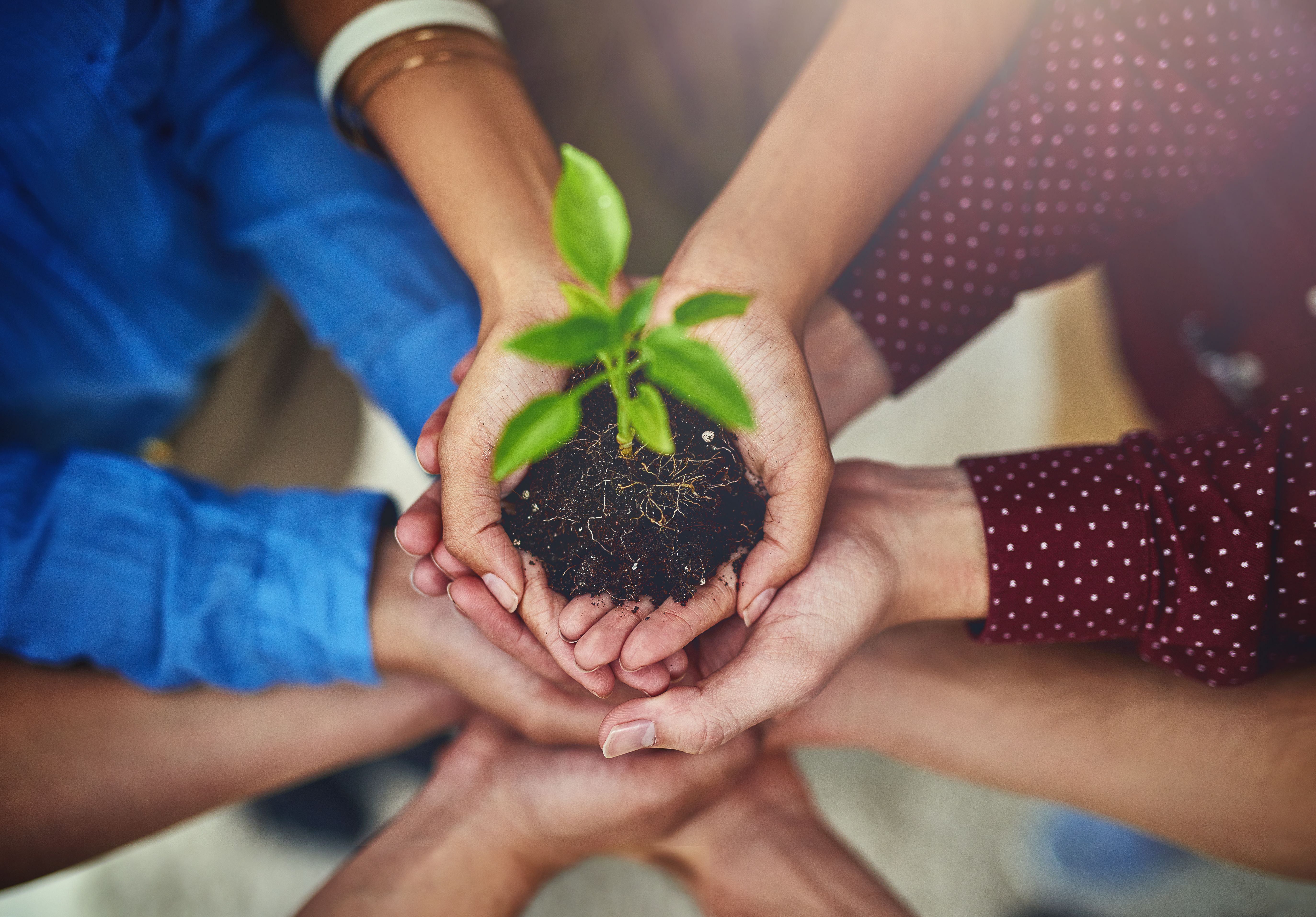 community growth
