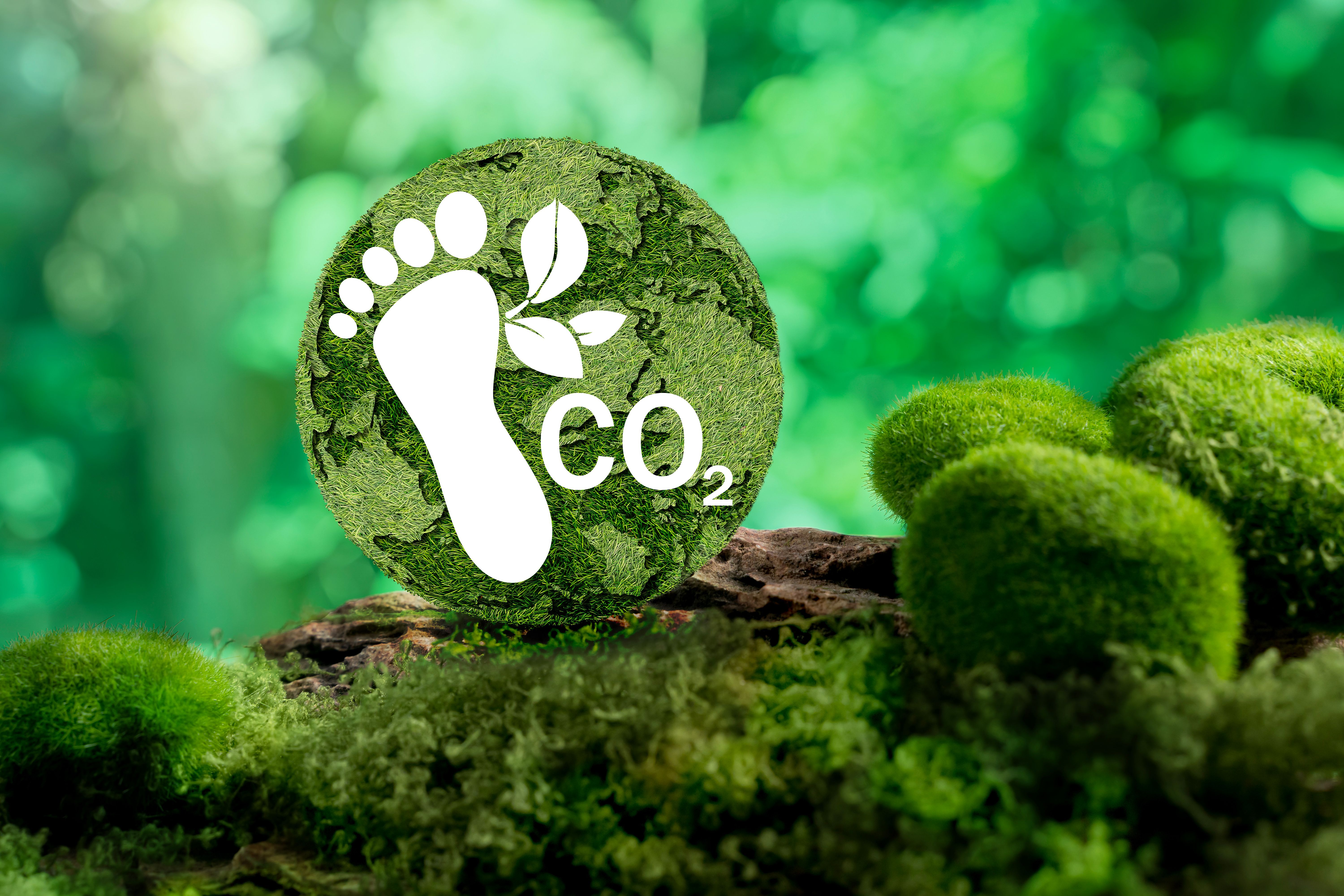 carbon footprint