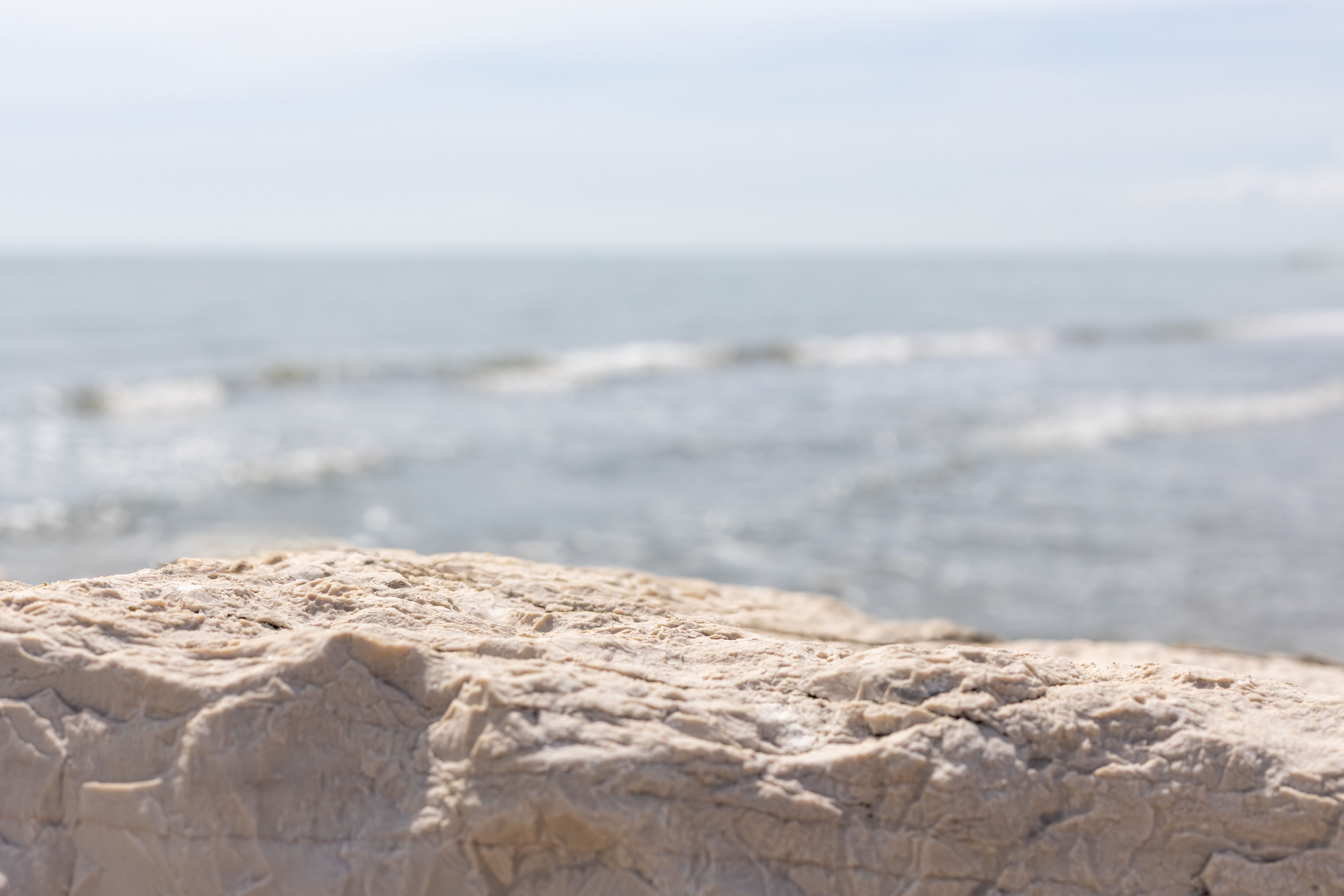 sunshine coast venue