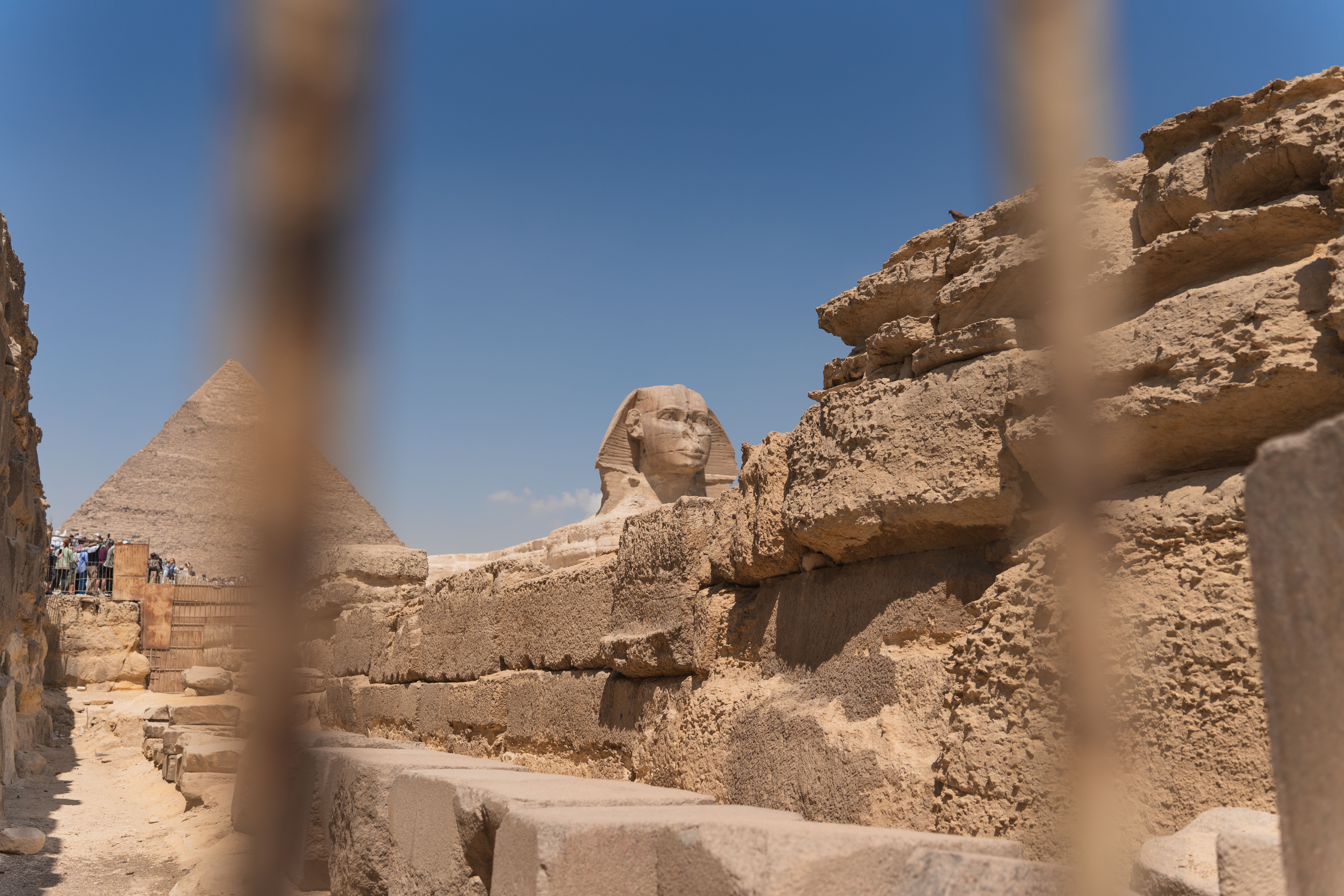 grand egyptian museum