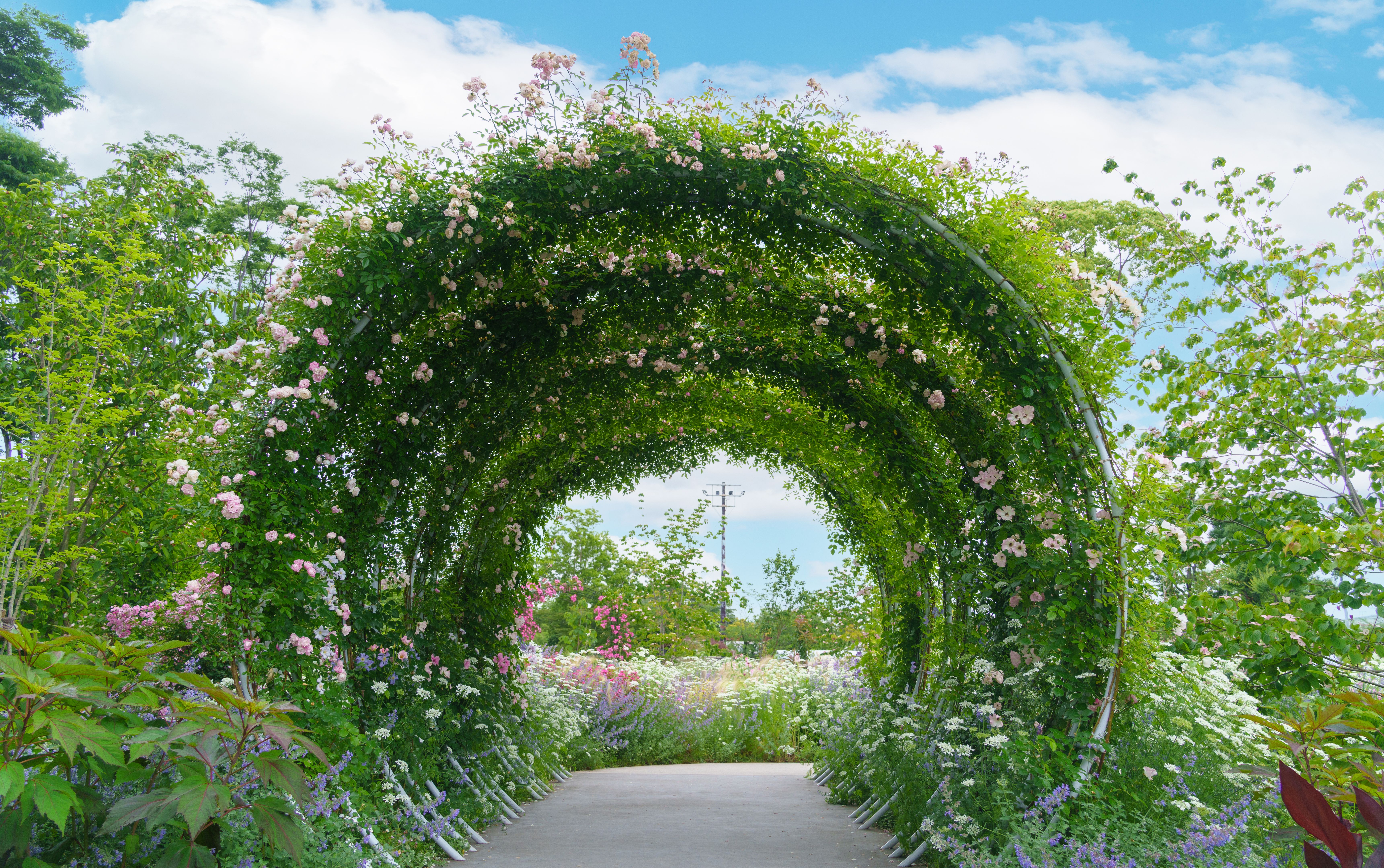 english garden