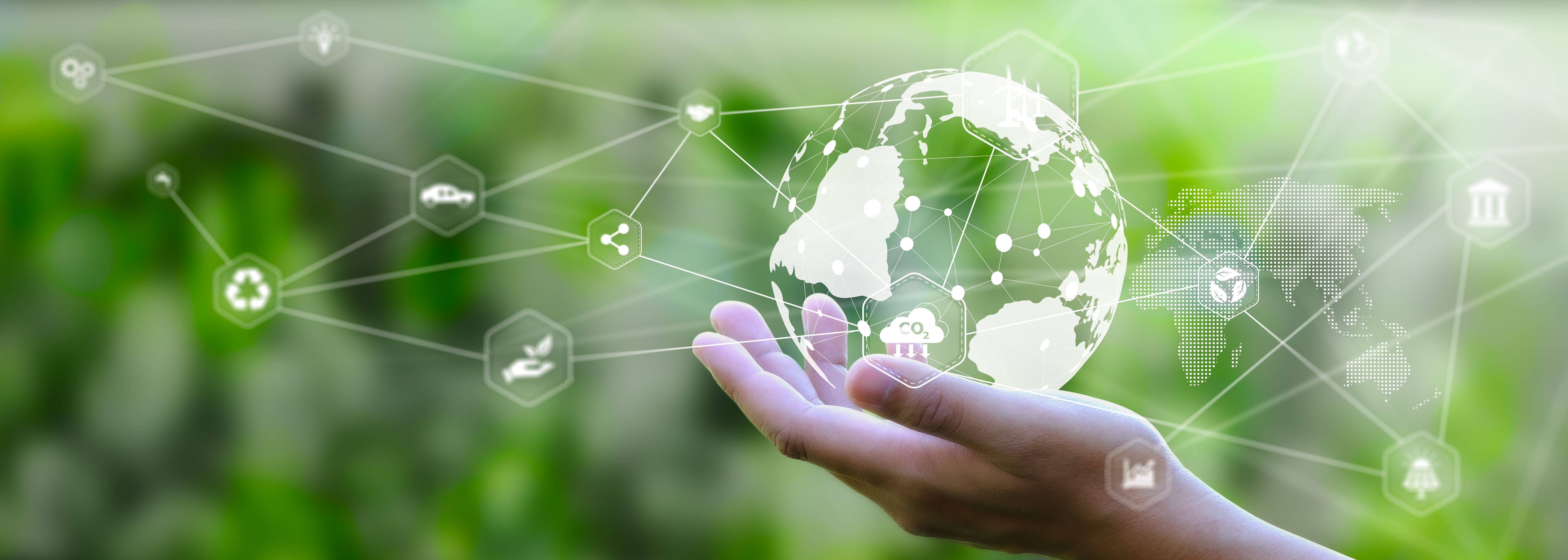 sustainable transport networking