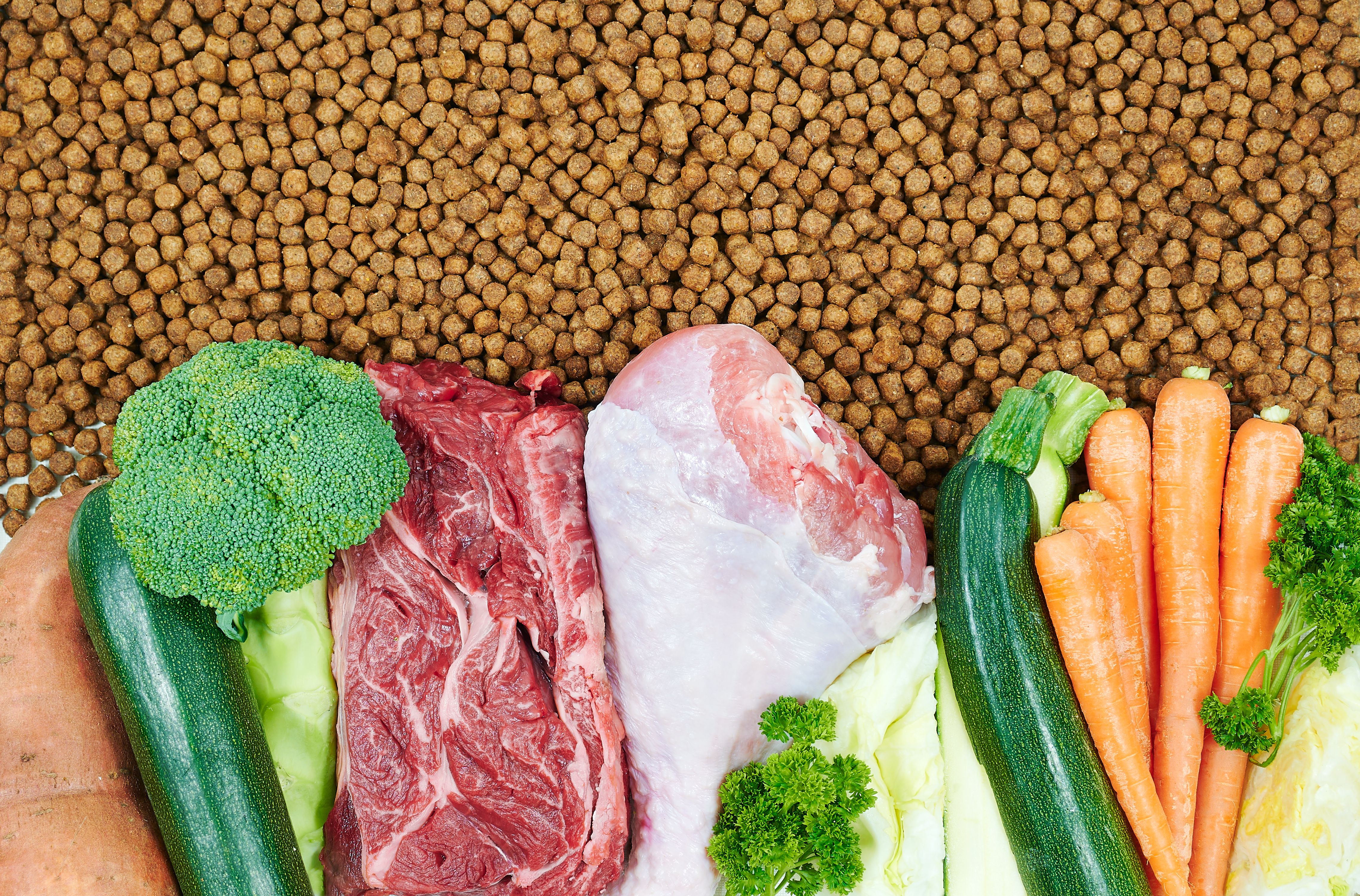 healthy dog food ingredients