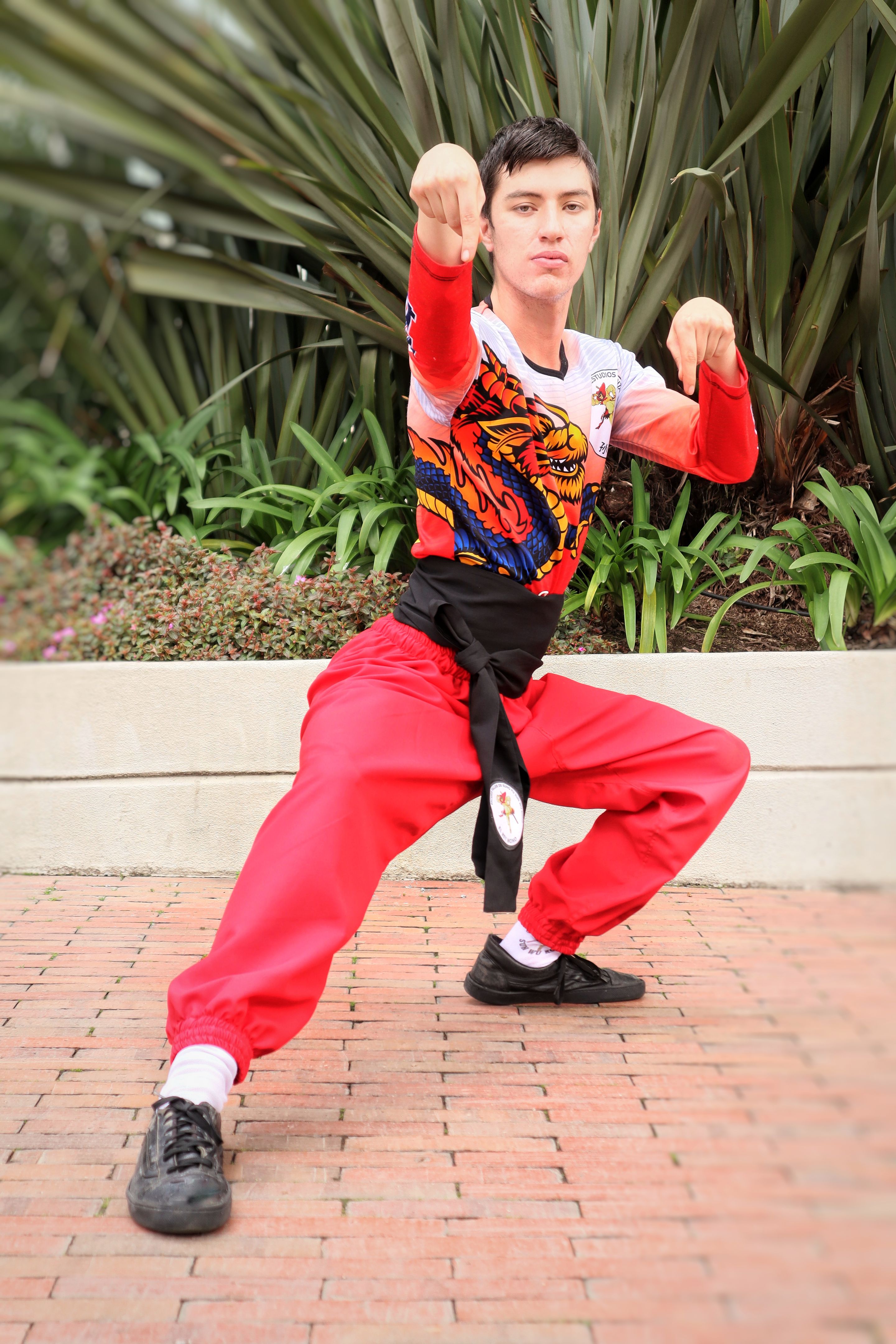 Artist in a Kung fu fighting stance.