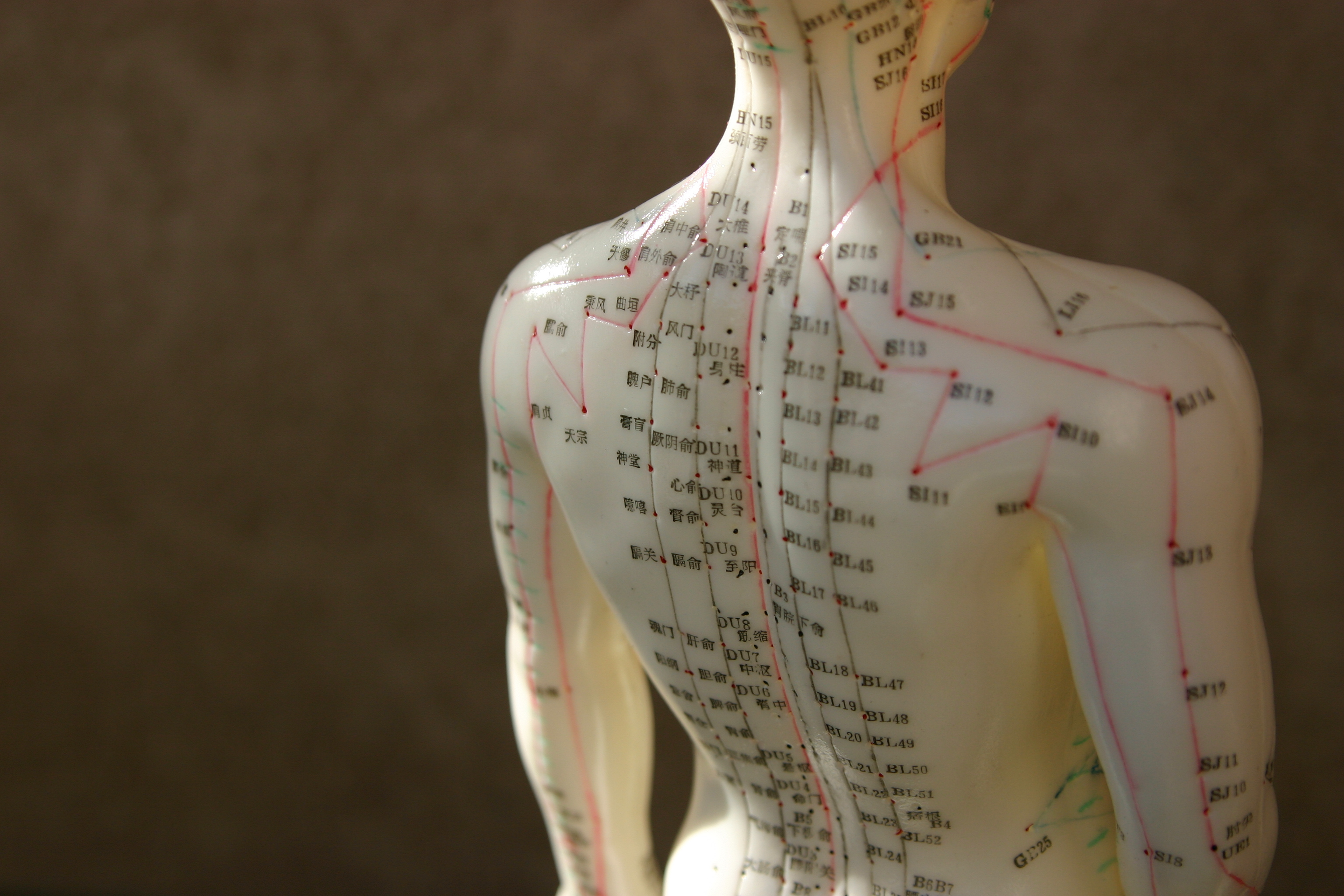 Acupuncture dummy