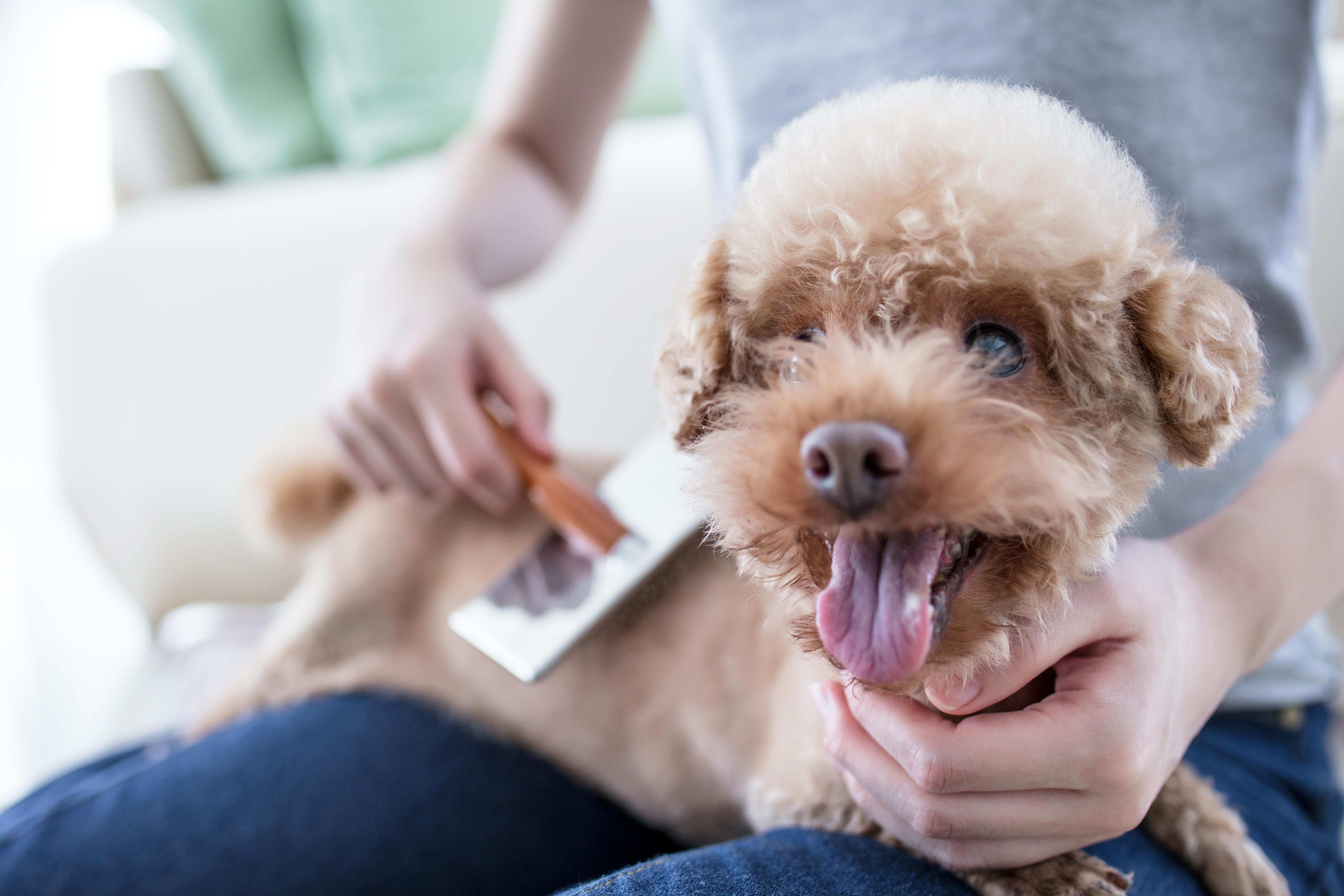 efficient operations