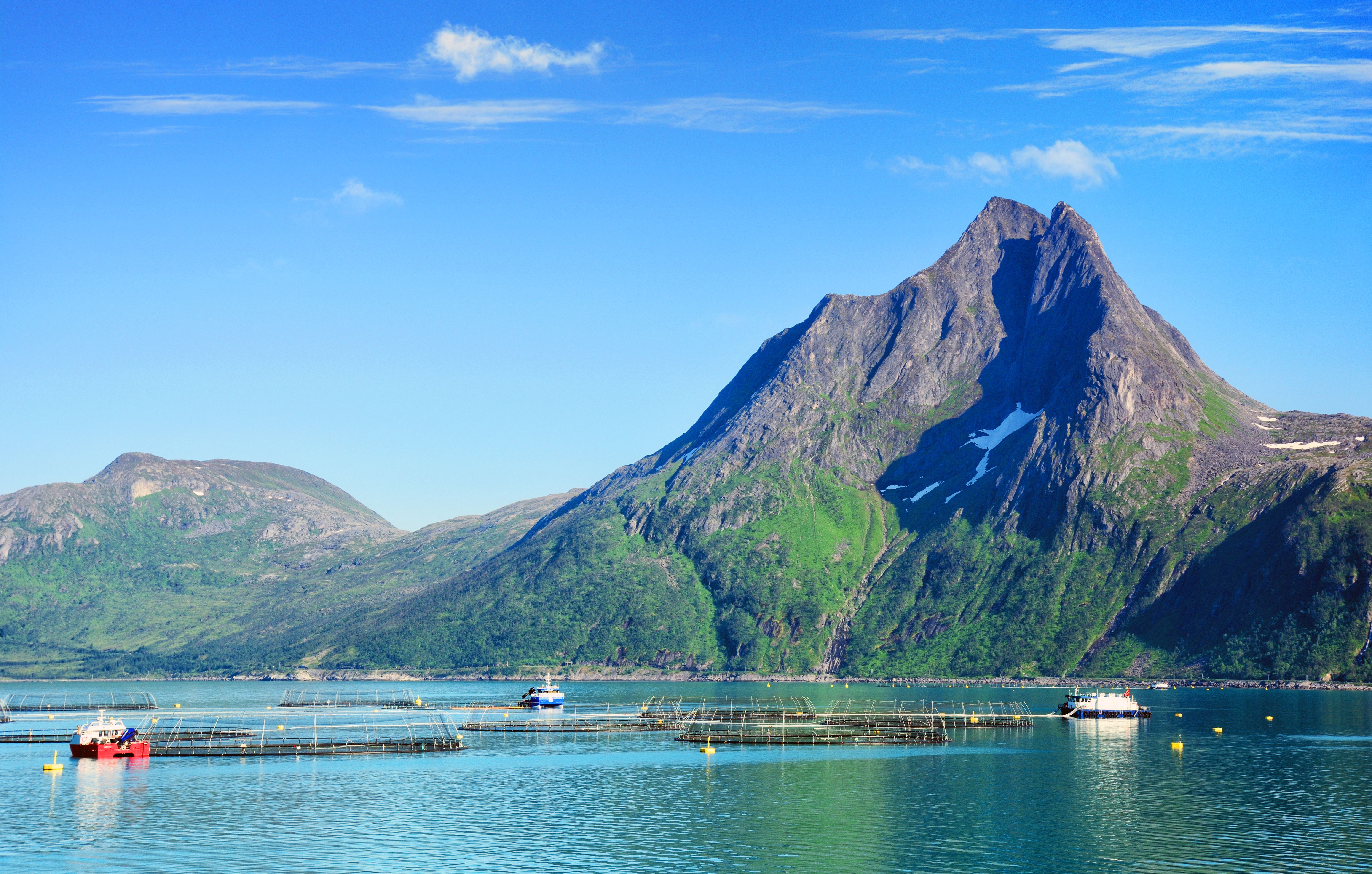 troms cuisine