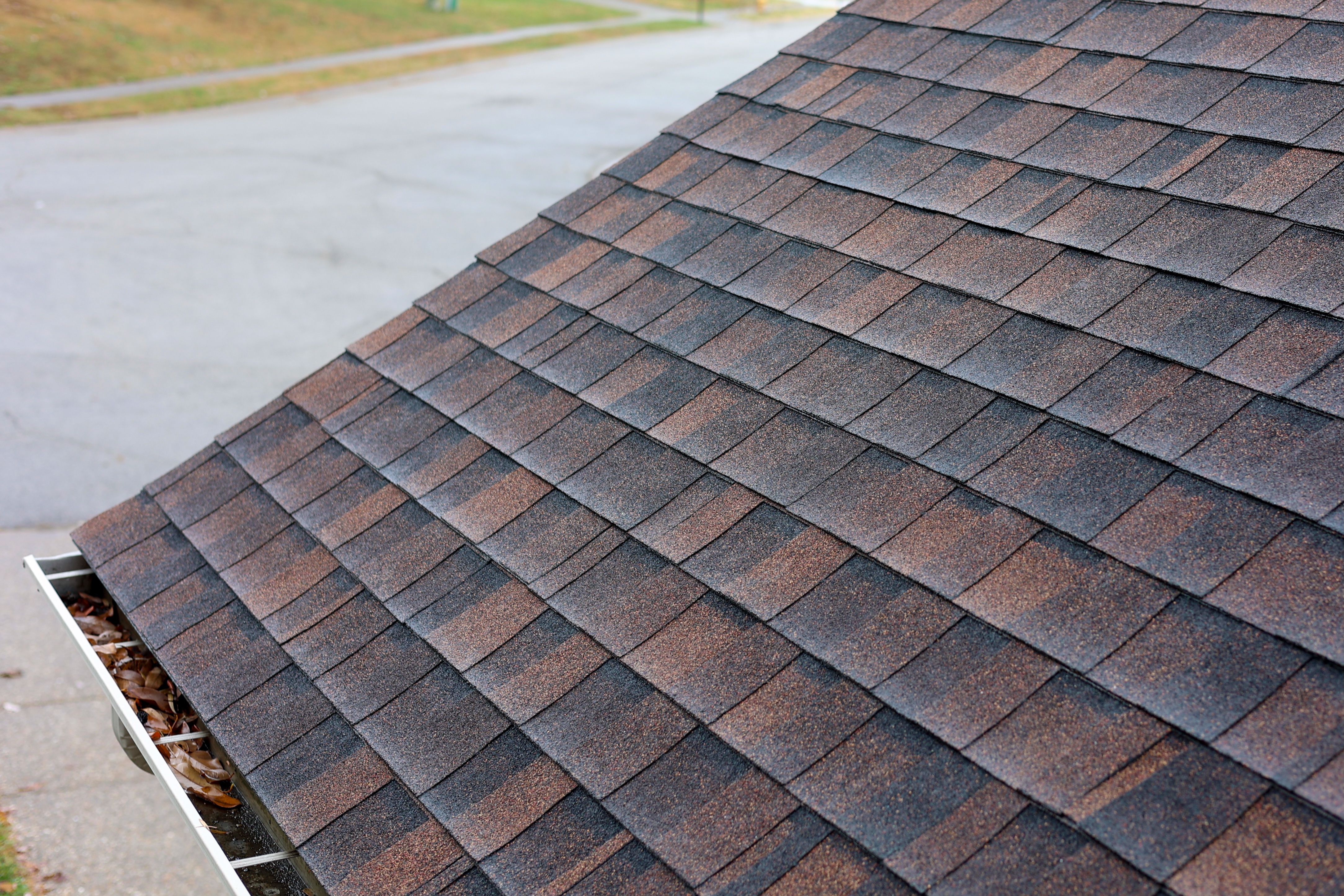 roof shingles