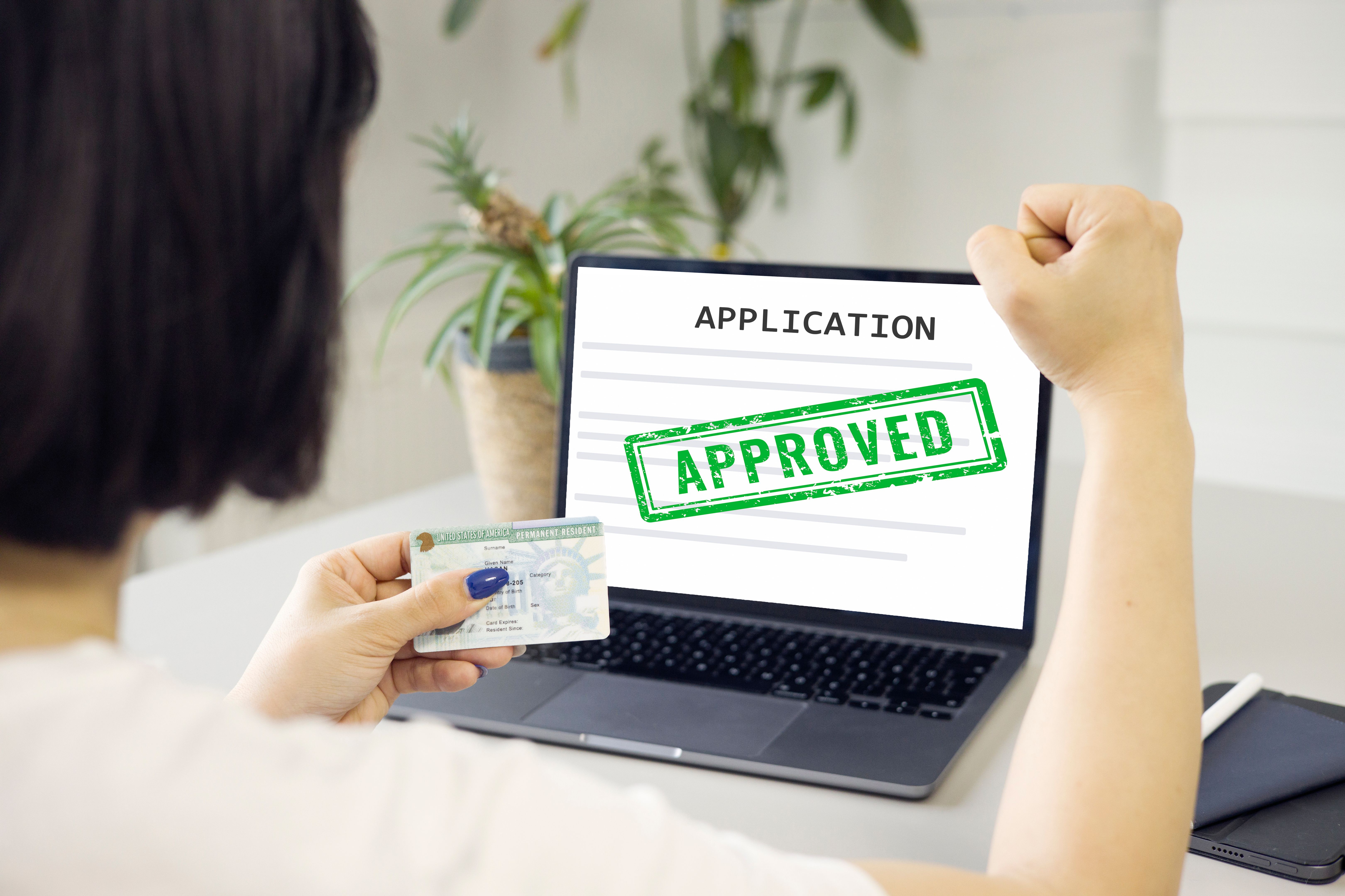 successful visa application