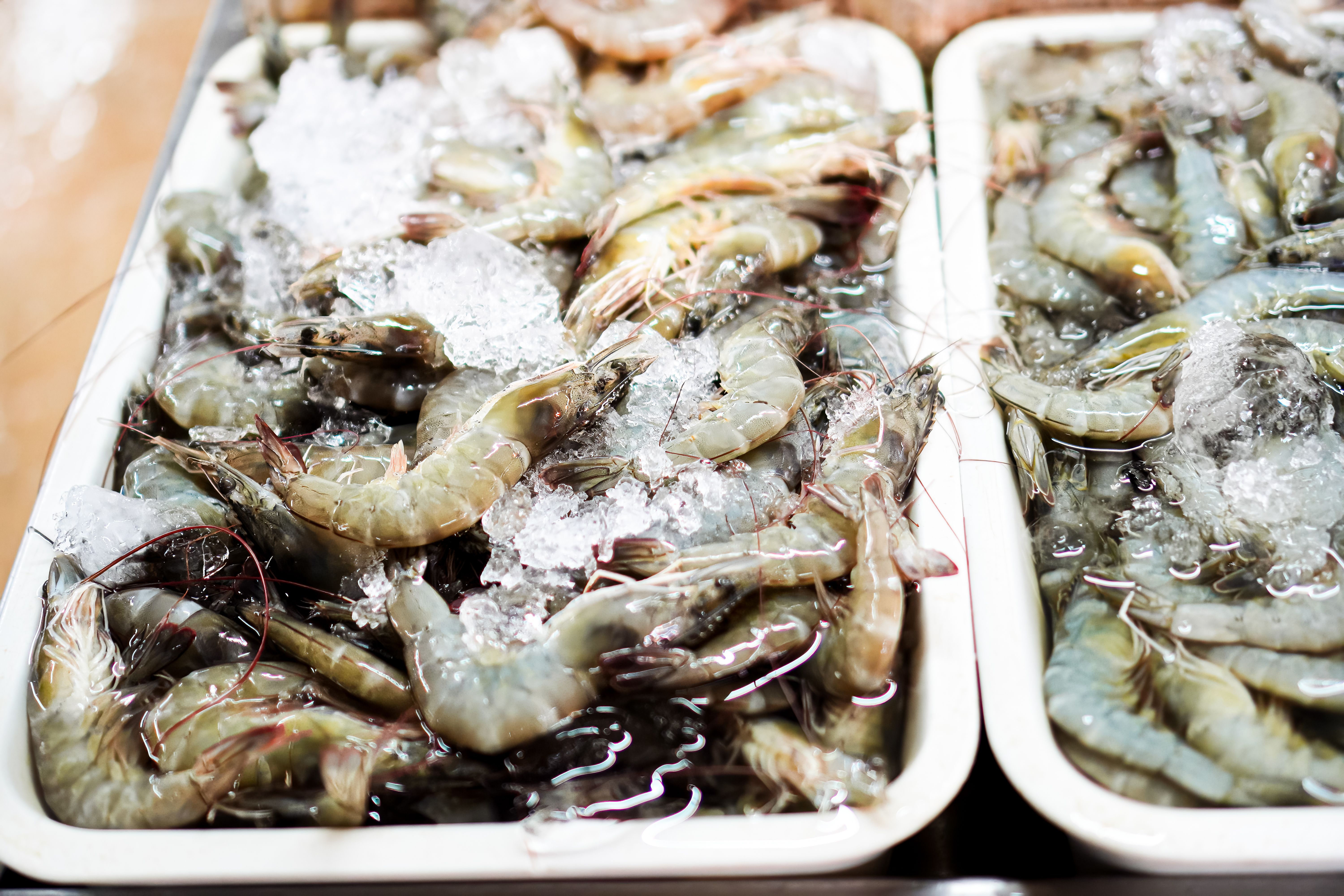 ice tray seafood