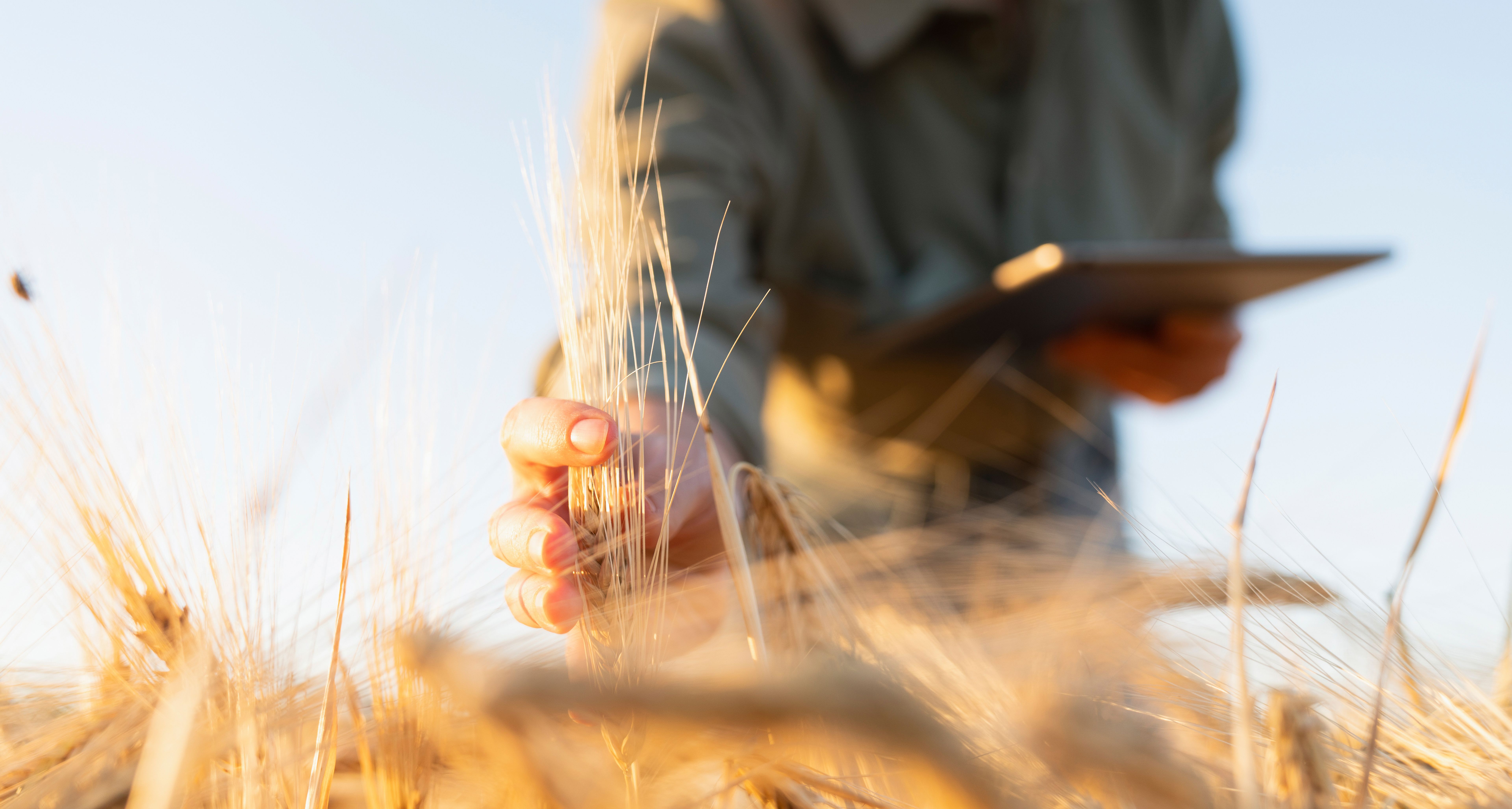 smart farming