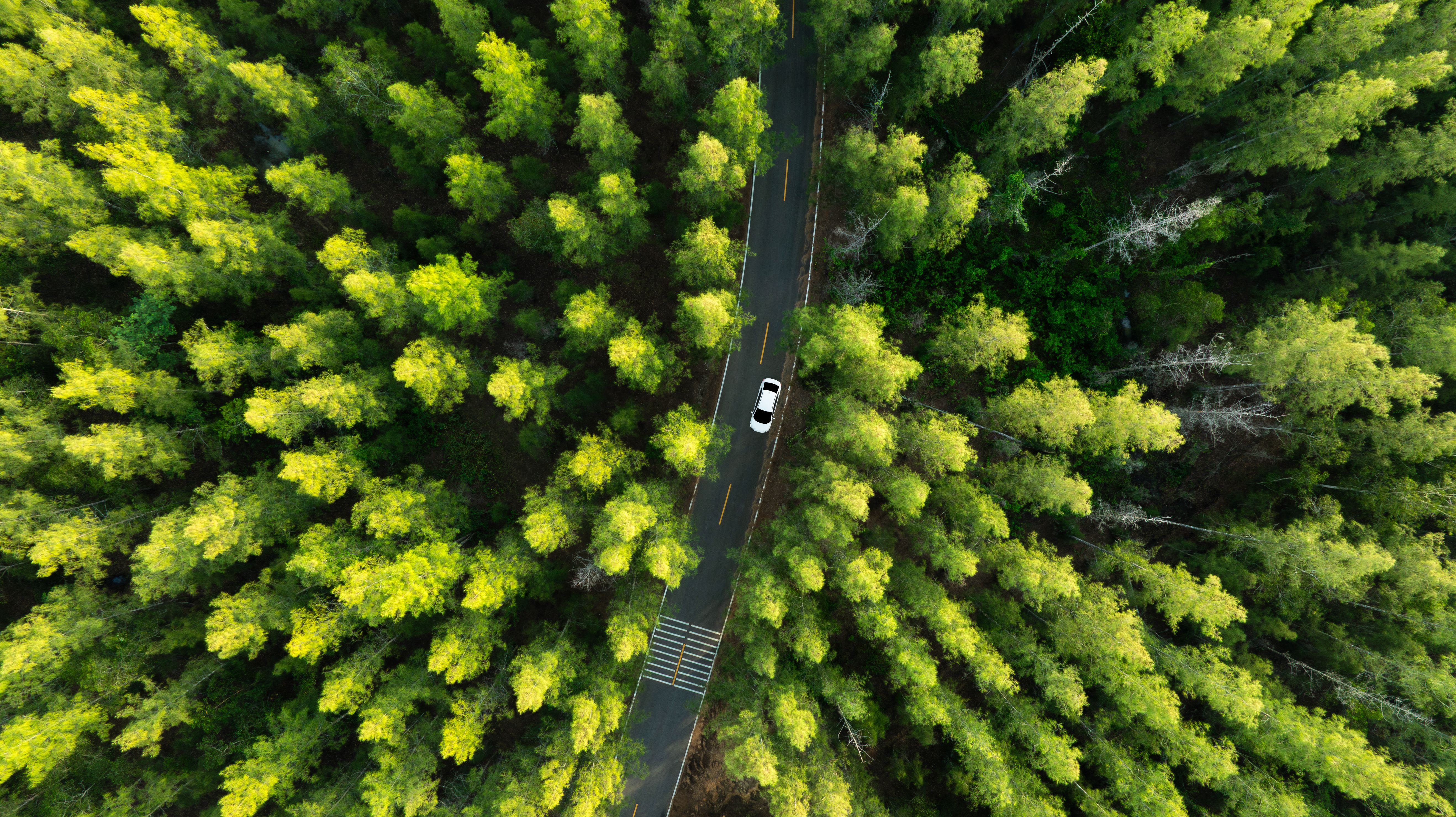 driveway transformation