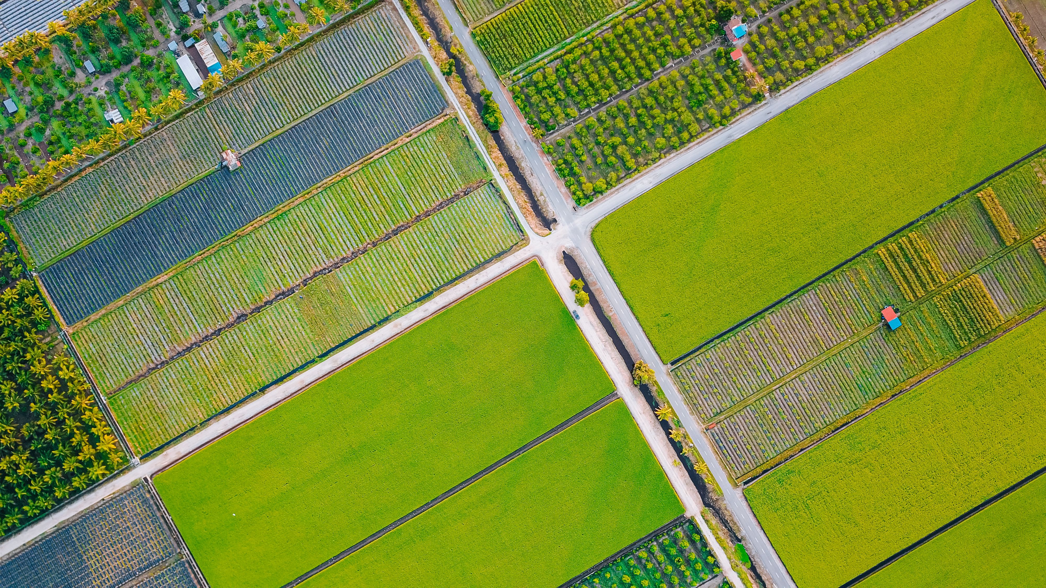 sustainable farming