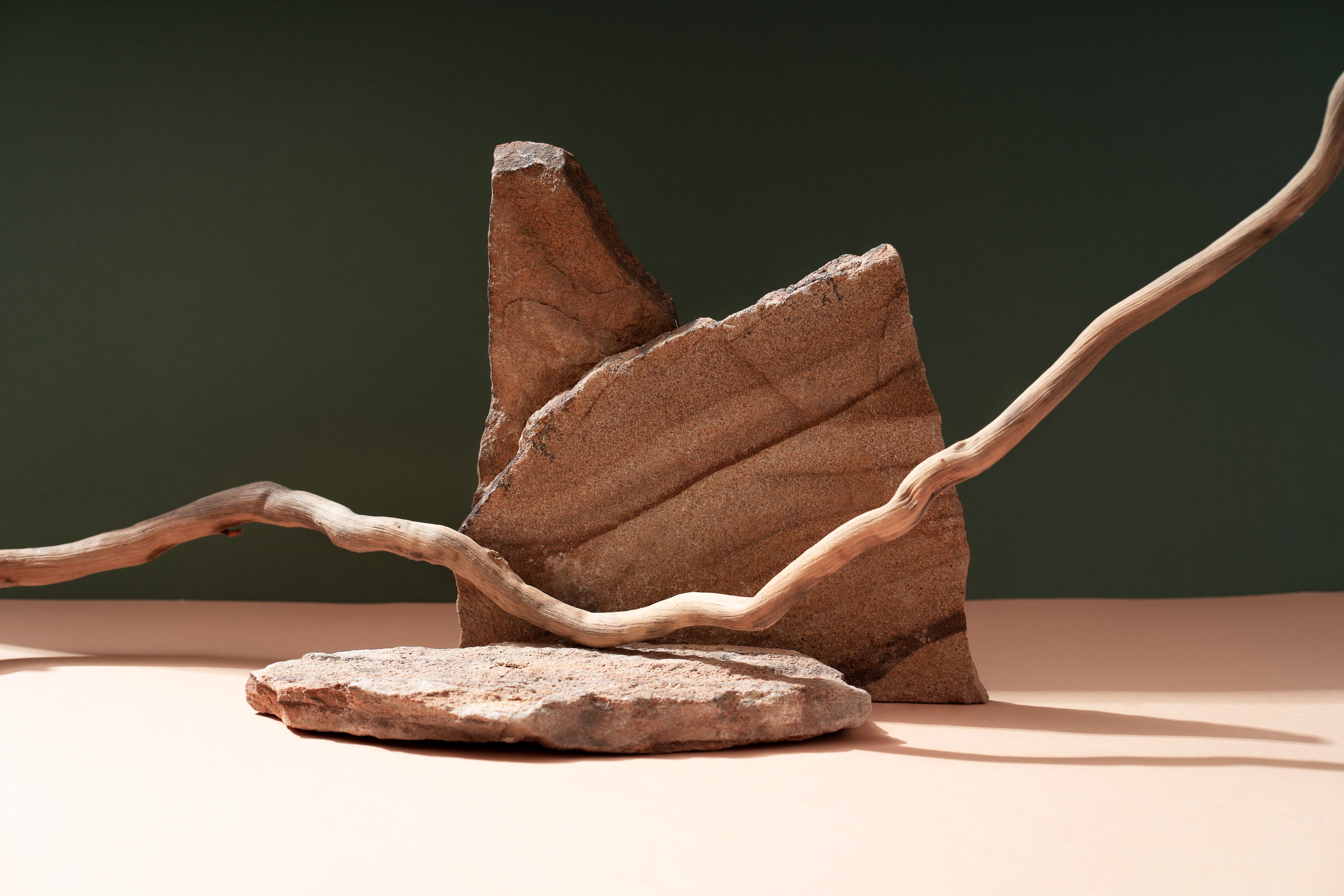 Composition empty podium material tree stone dry flowers. Product presentation. Background beige green. Beautiful background from natural materials.