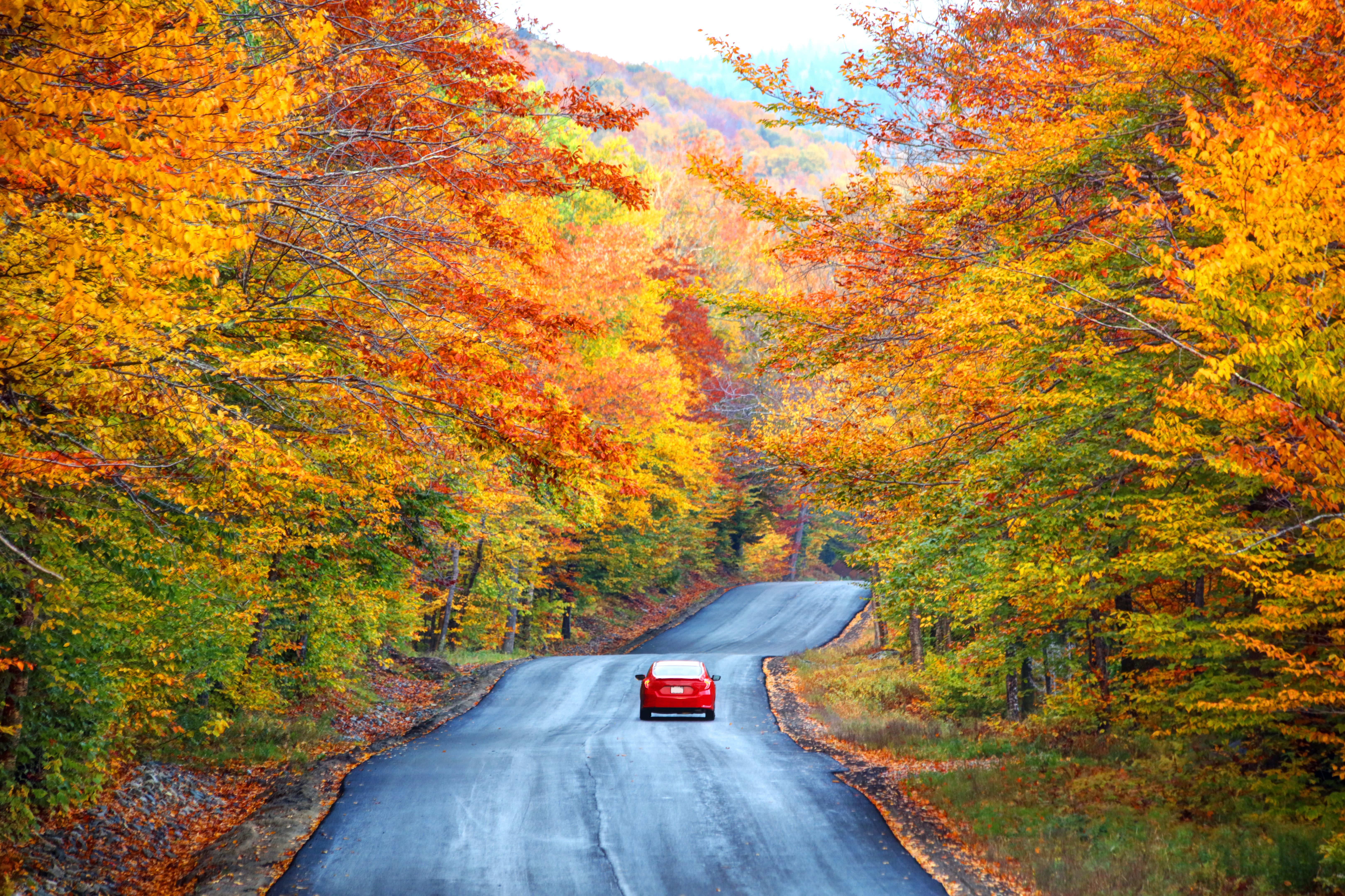 autumn car
