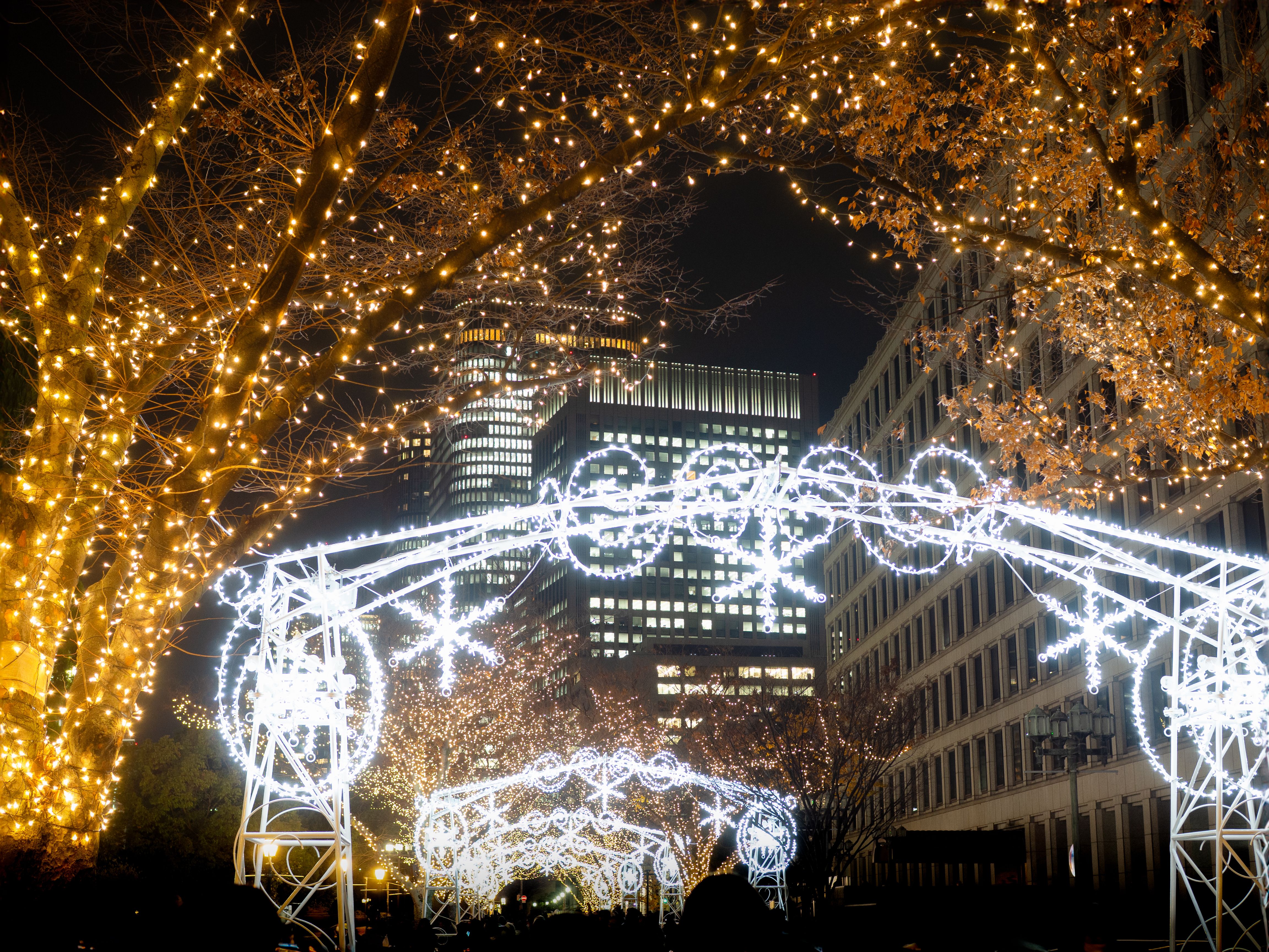 christmas lighting company