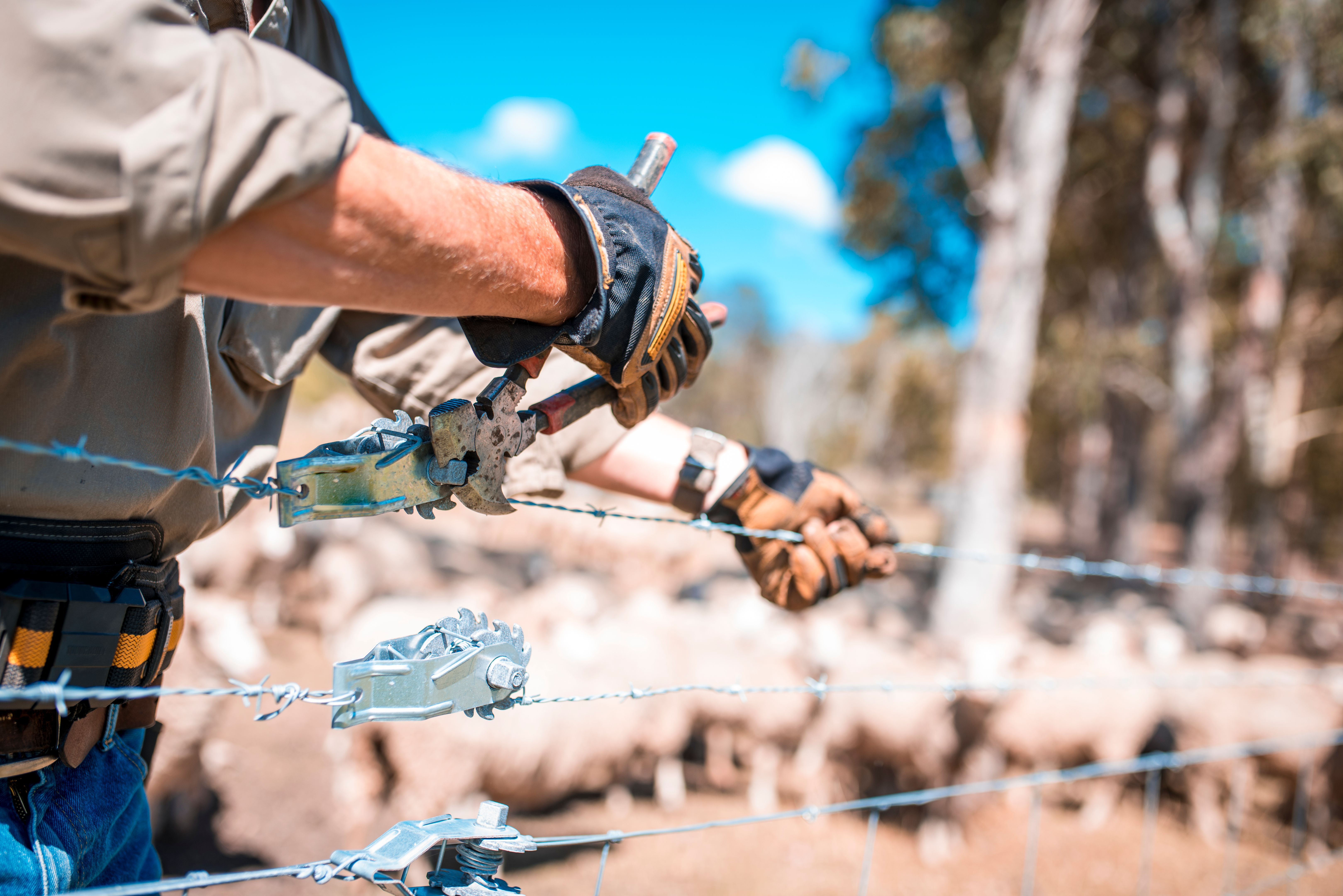 fencing livestock