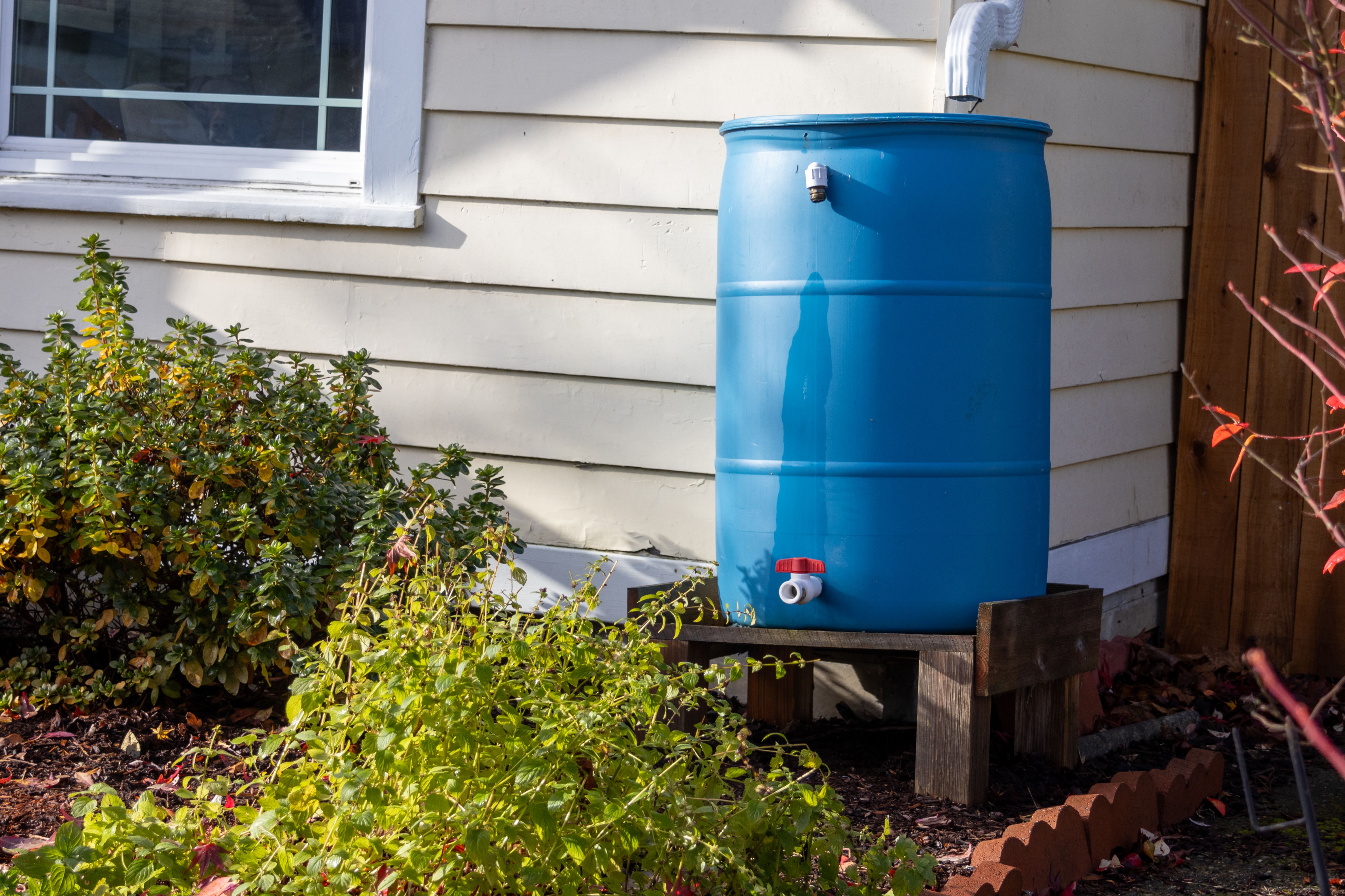 rain barrel