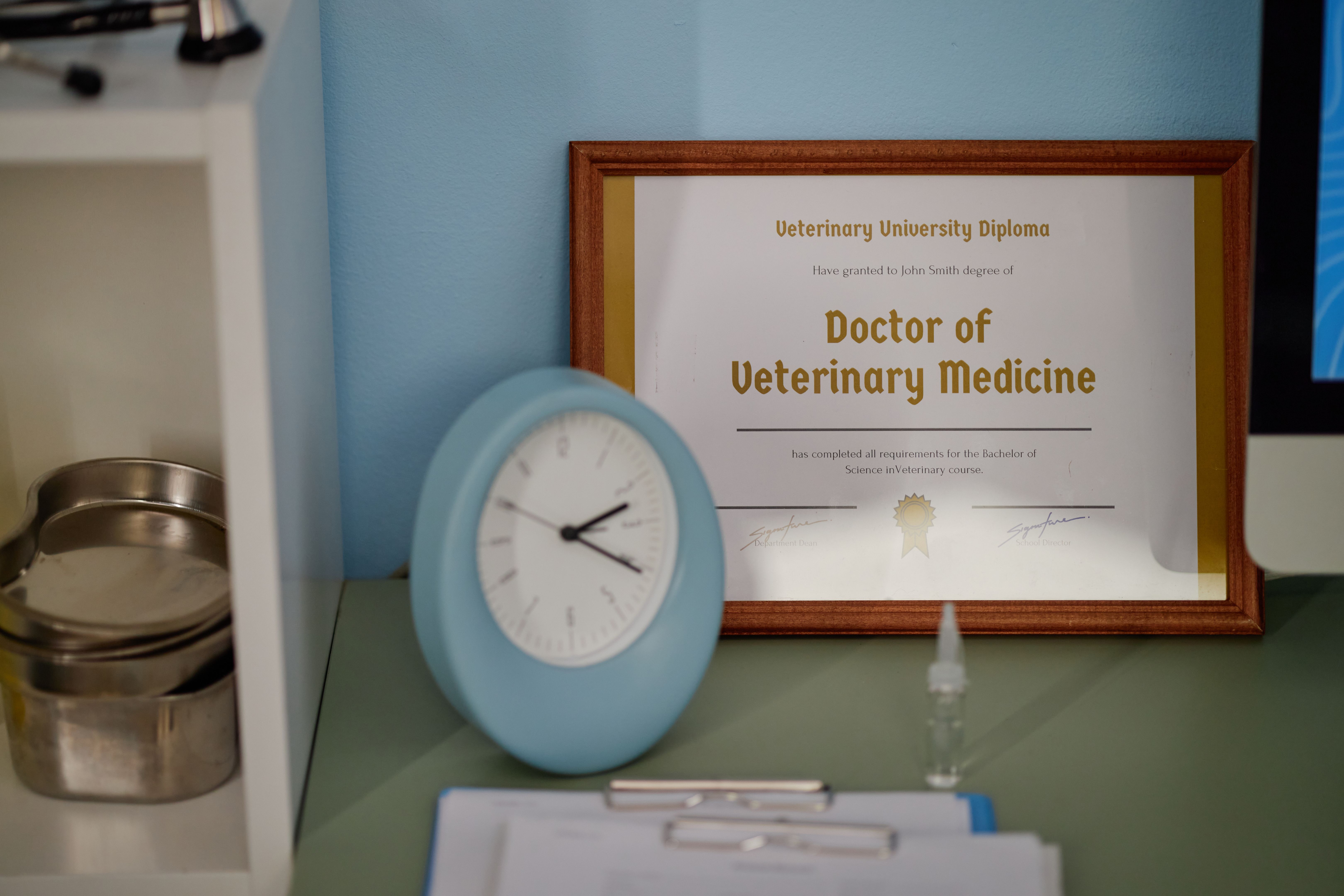 veterinary certification