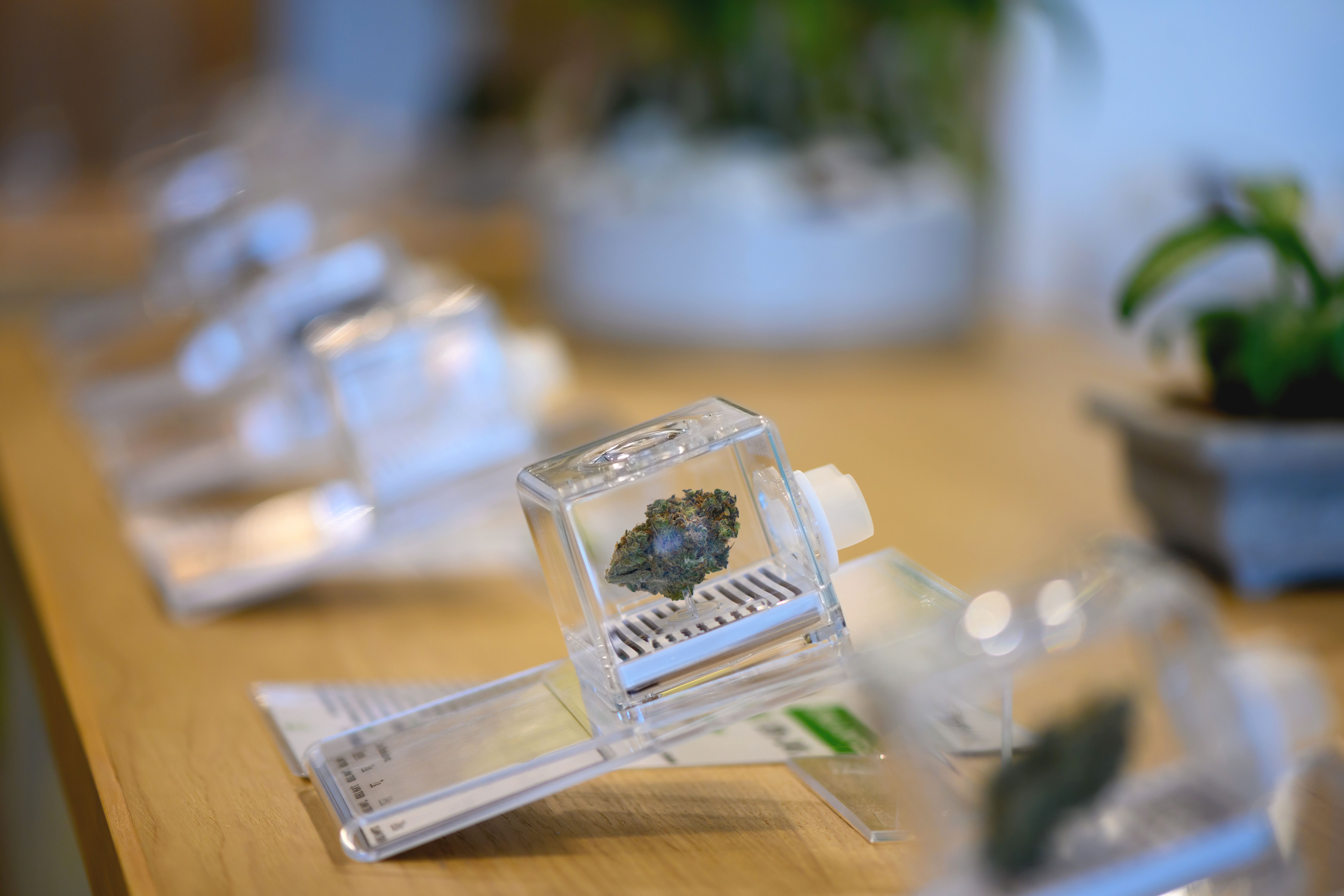 marijuana classification