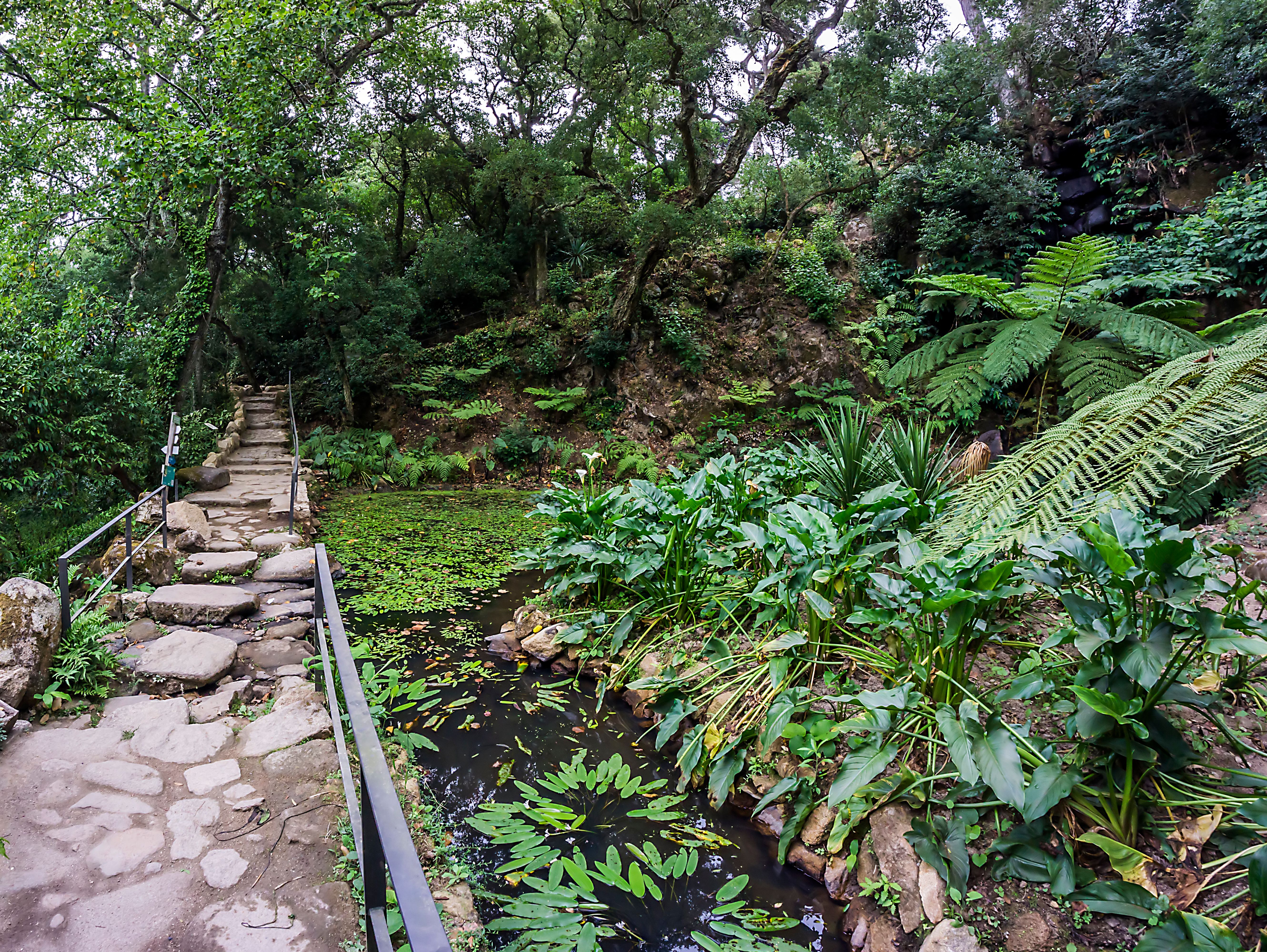 Sintra gardens