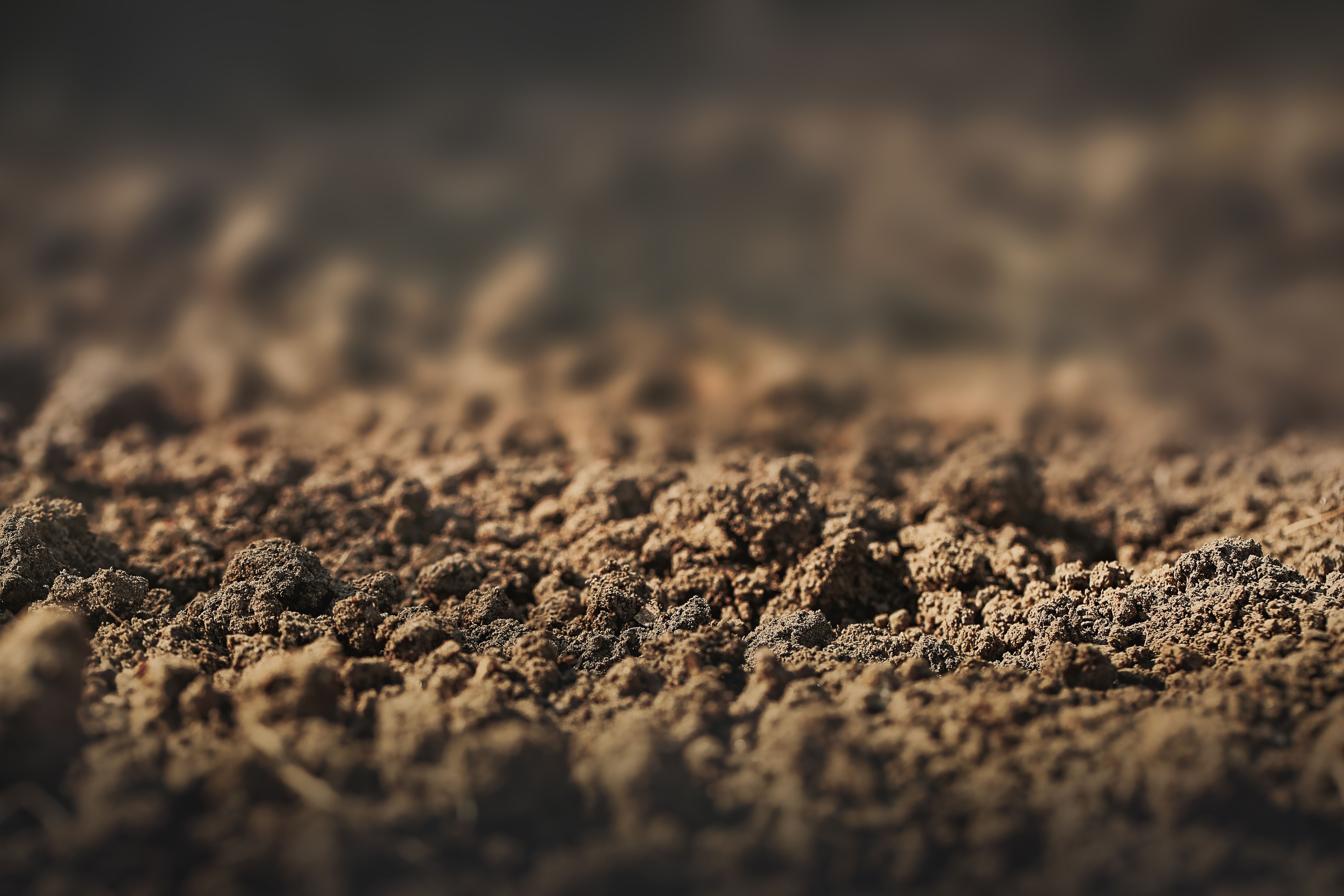 soil surface with a focus line for product presentation