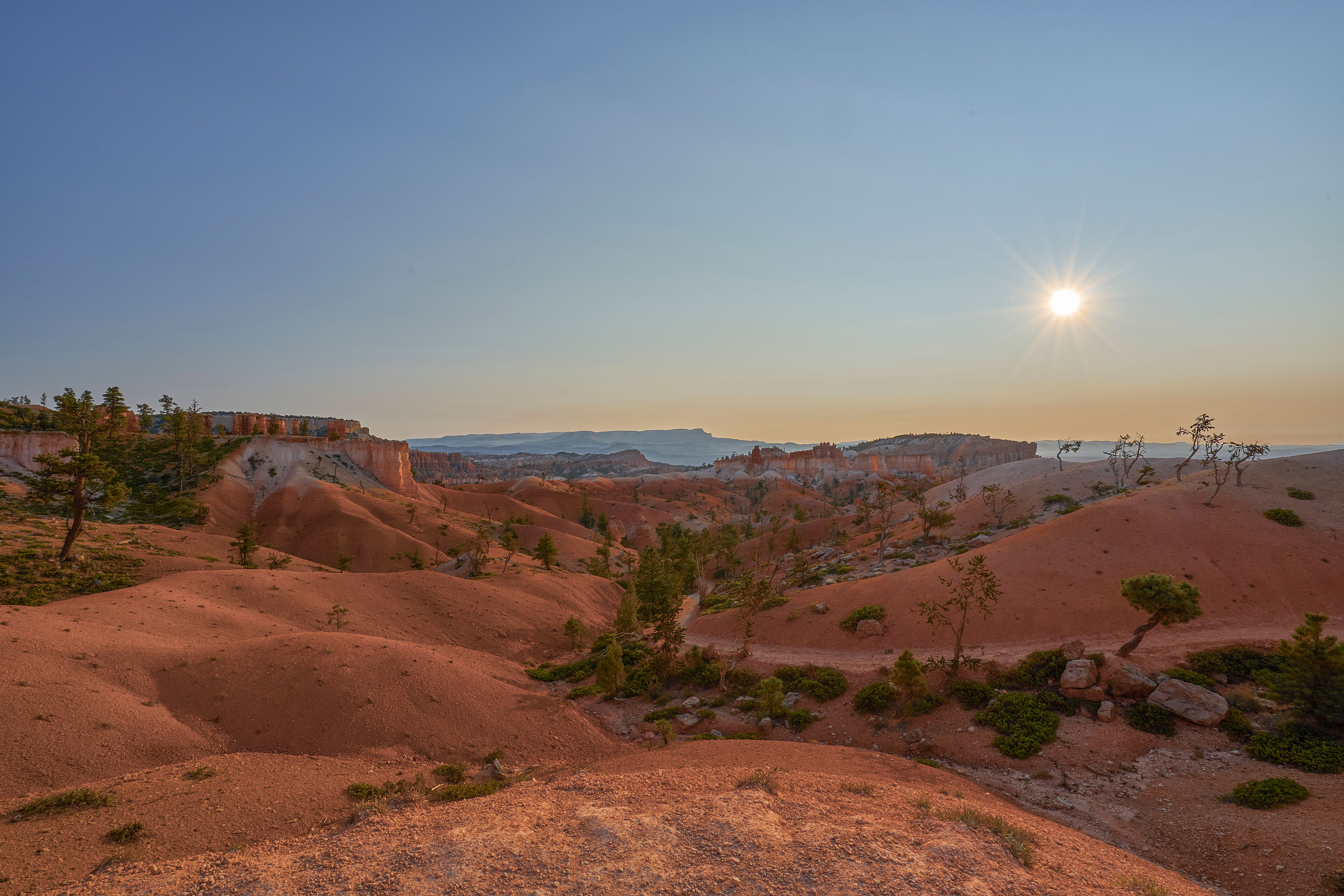 fannin county landscape